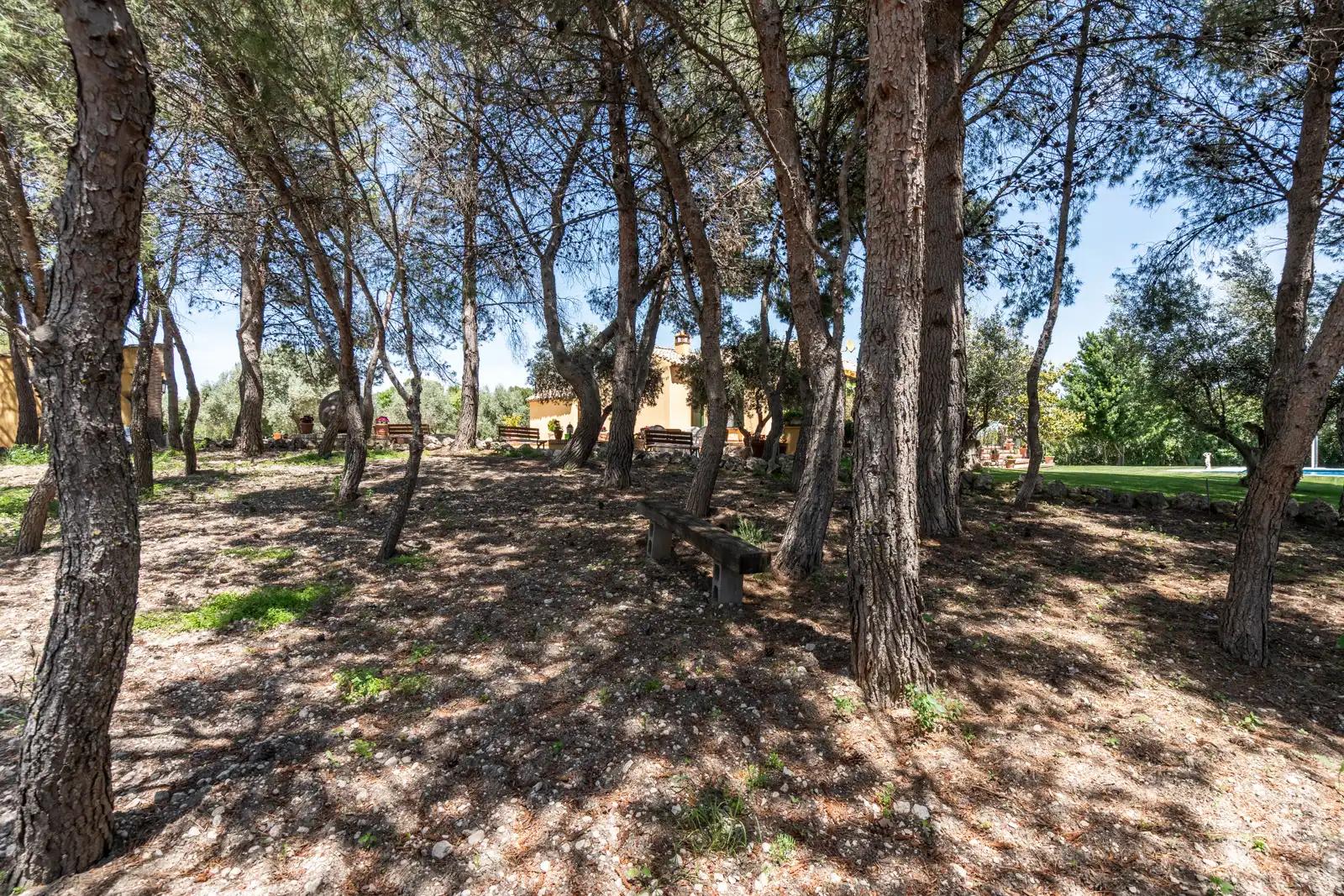 House for Sale in Chinchón