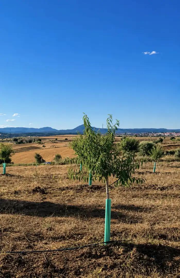 House for Sale in Almorox