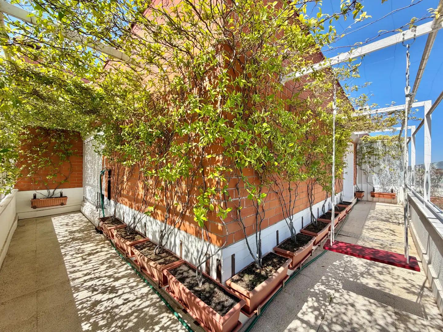 Duplex for Sale in Madrid