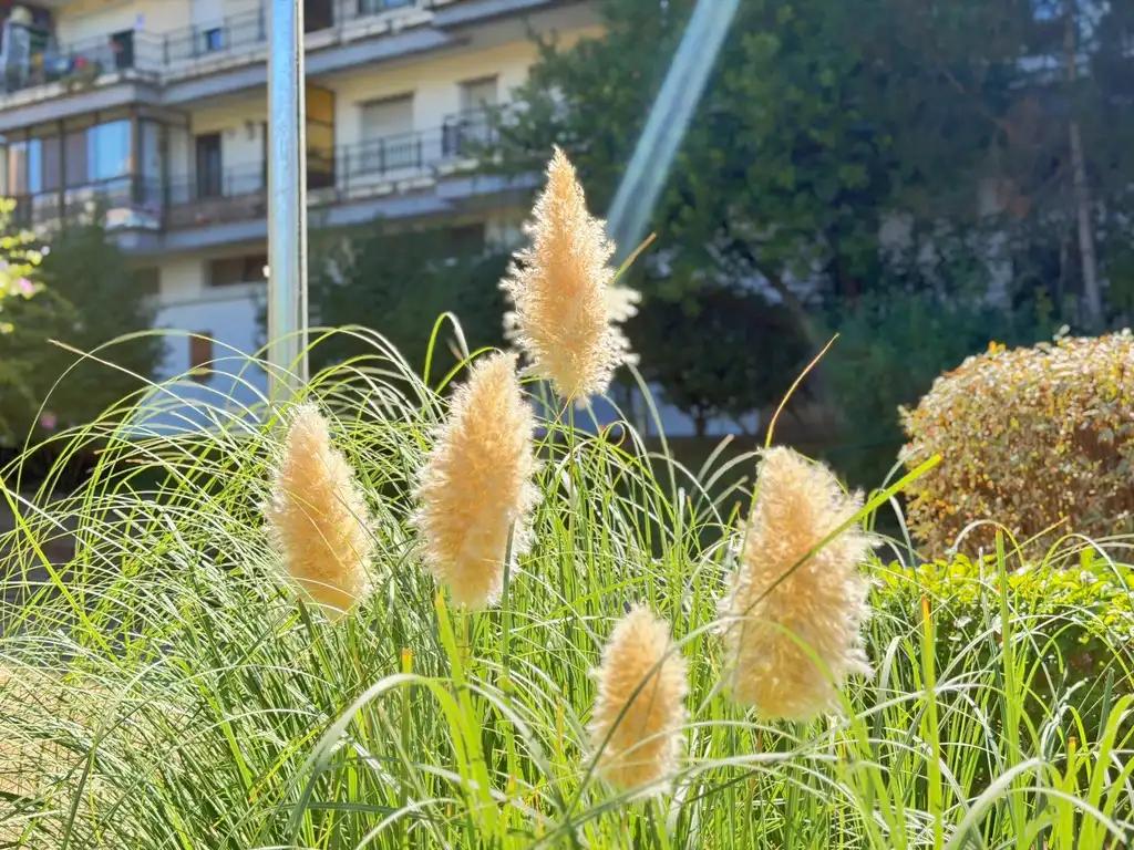Flat for Sale in Collado Villalba