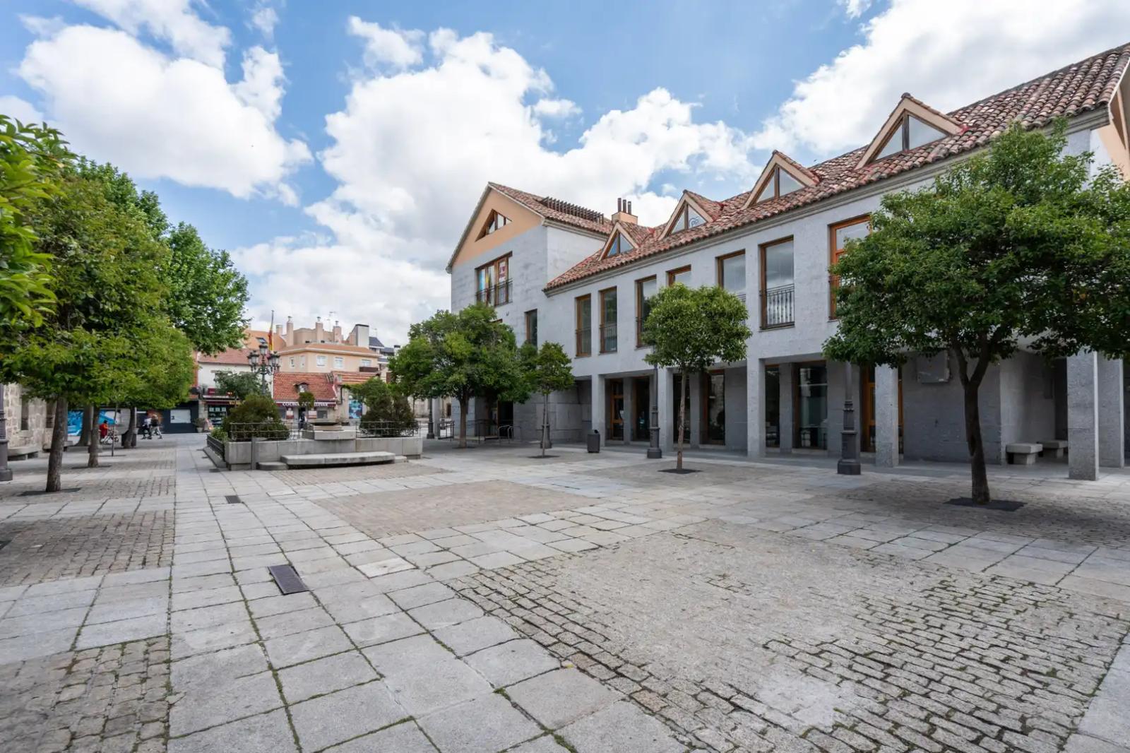 Premise for Rent in Torrelodones