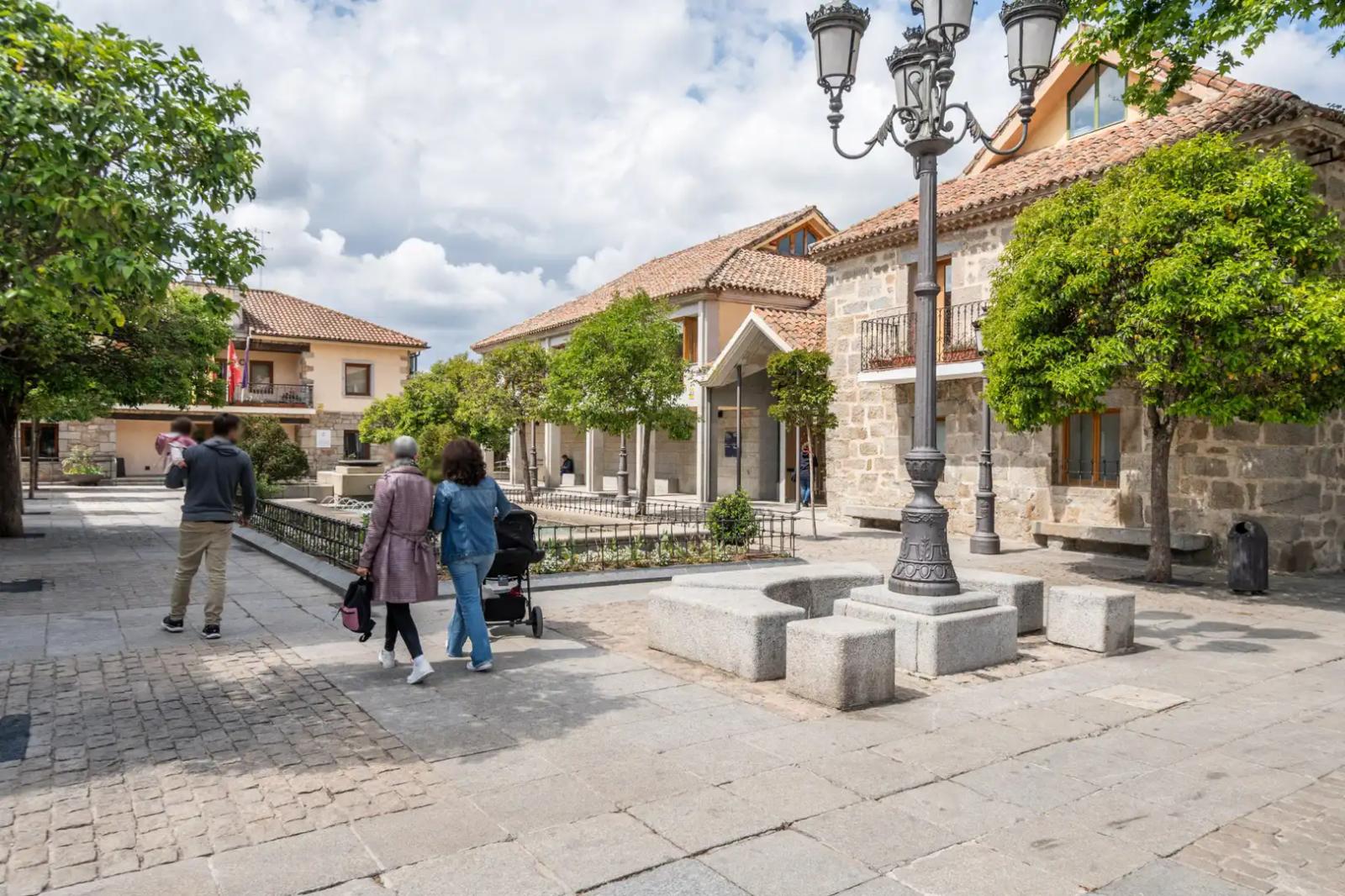 Premise for Rent in Torrelodones