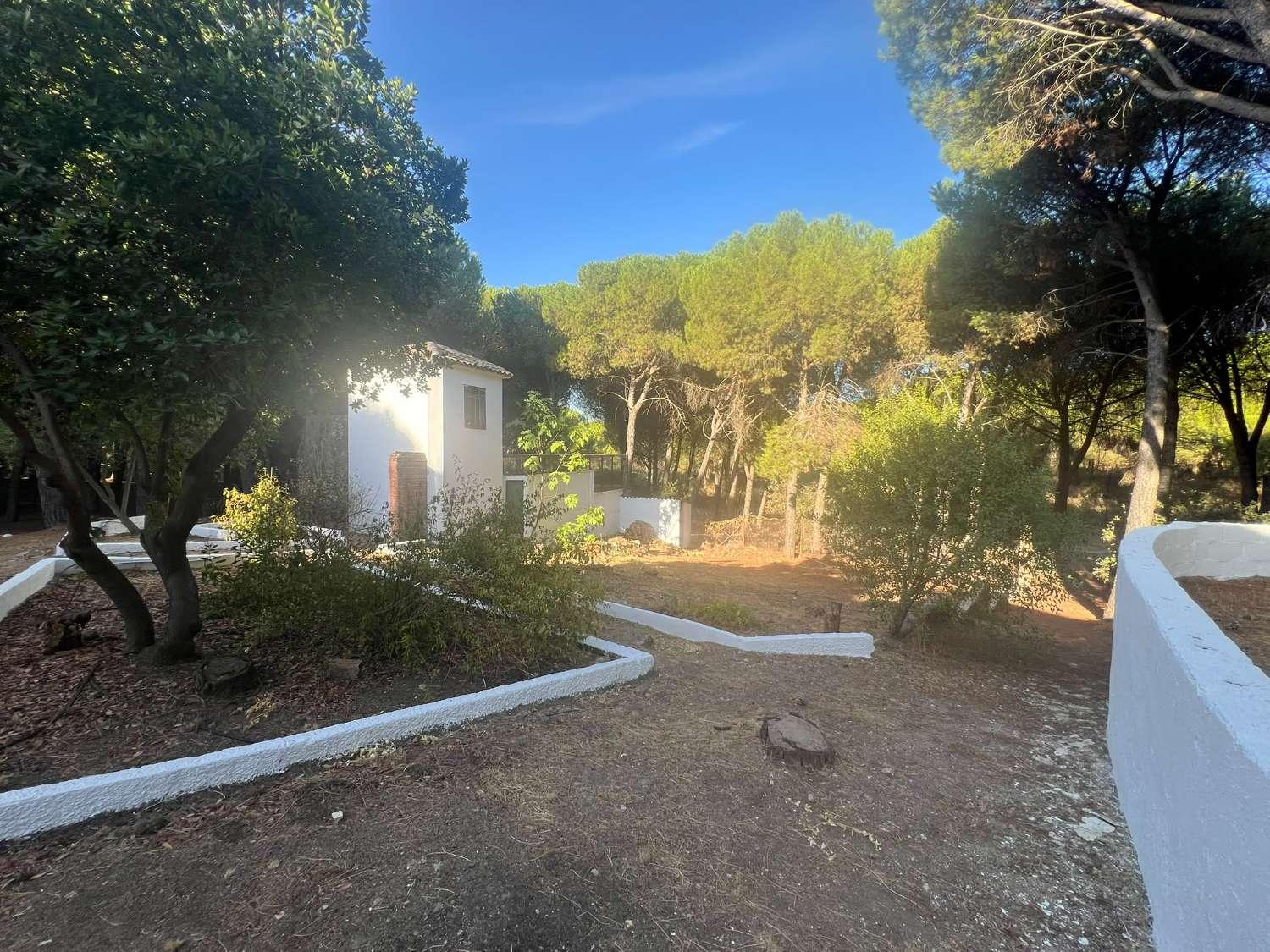 Finca en Venta en Andújar