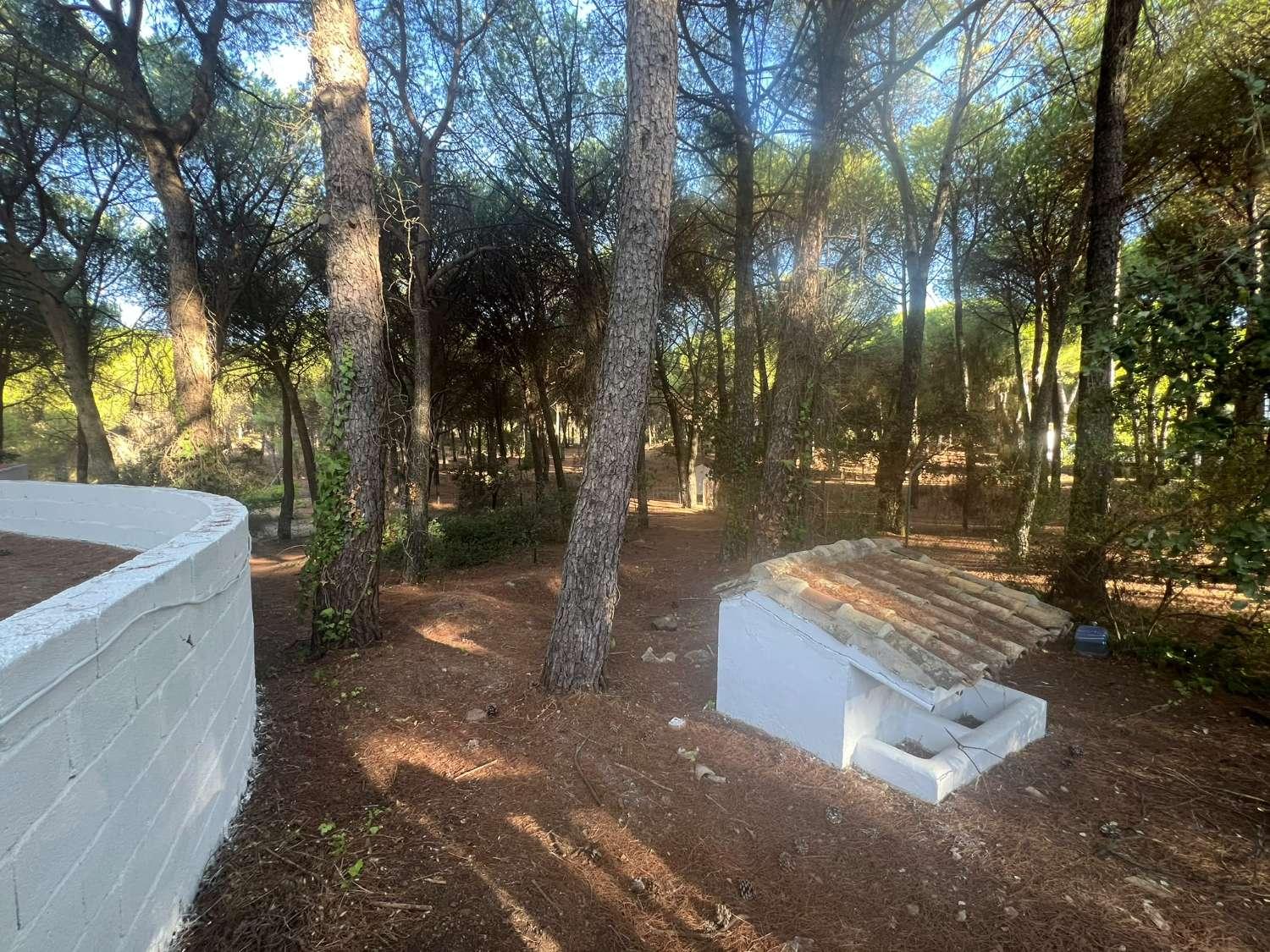 Finca en Venta en Andújar