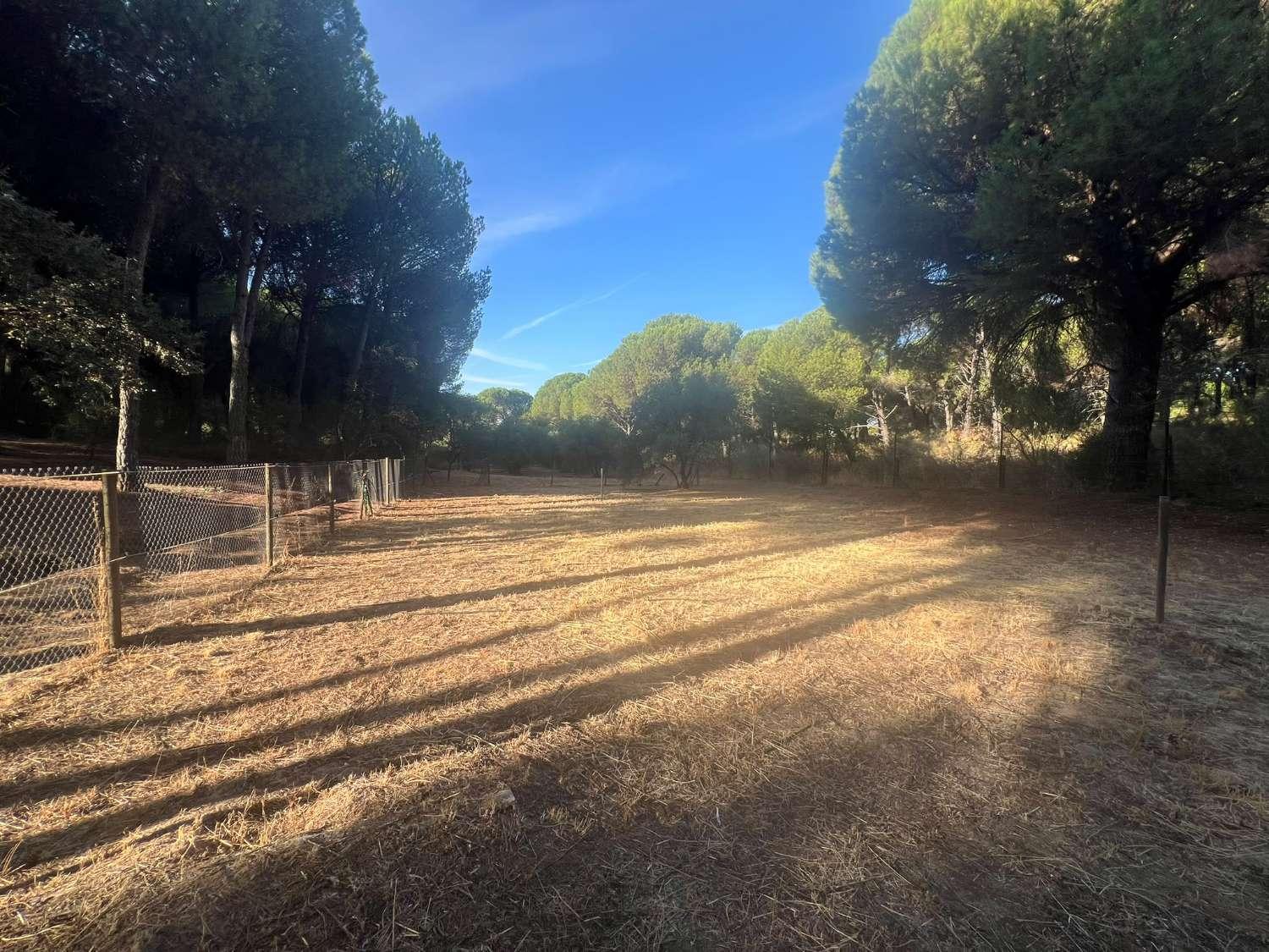 Finca en Venta en Andújar