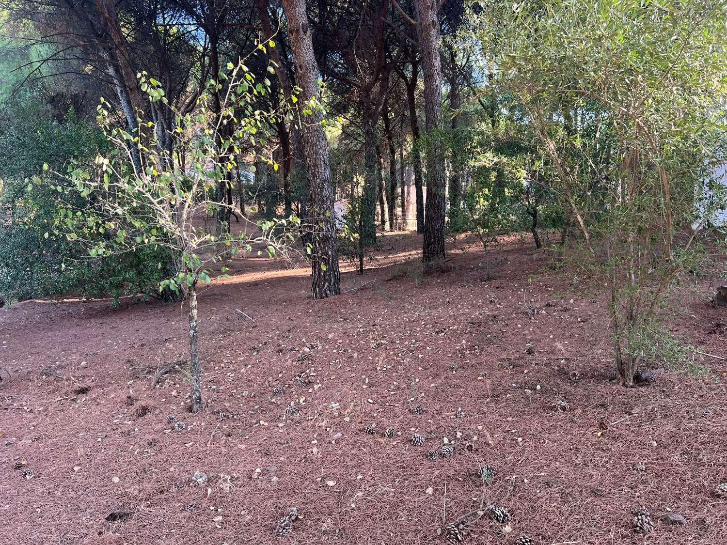 Finca en Venta en Andújar