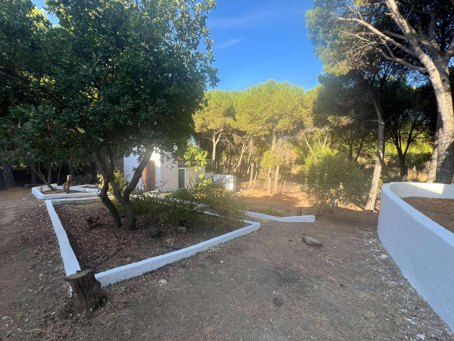 Finca en Venta en Andújar