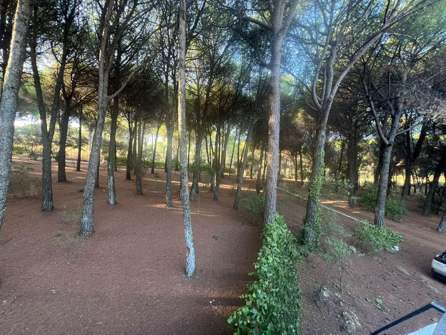 Finca en Venta en Andújar