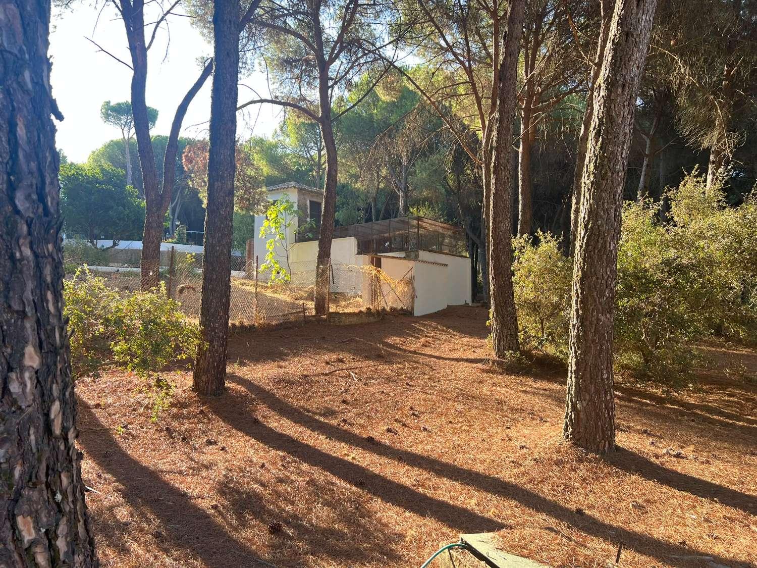 Finca en Venta en Andújar