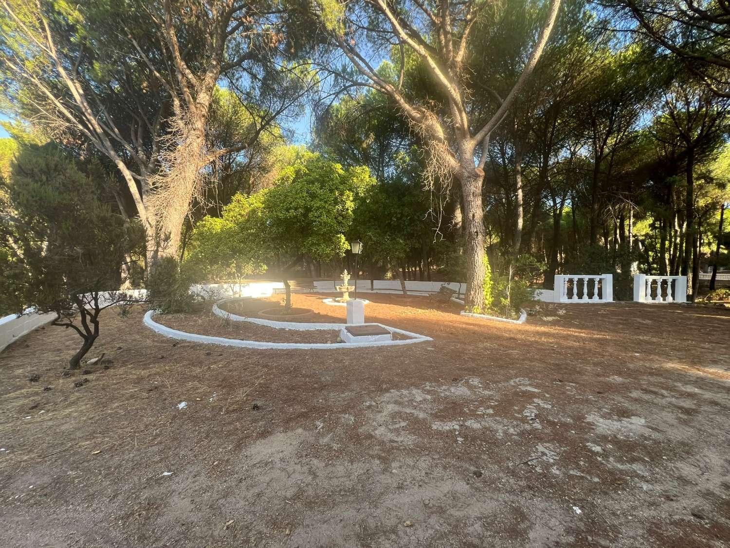 Finca en Venta en Andújar