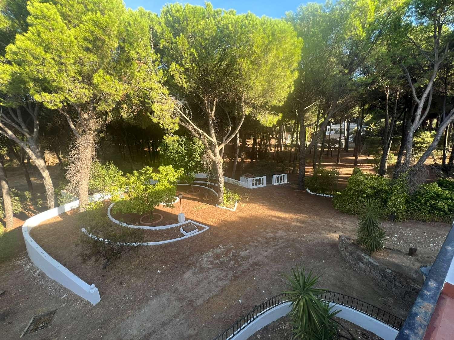 Finca en Venta en Andújar