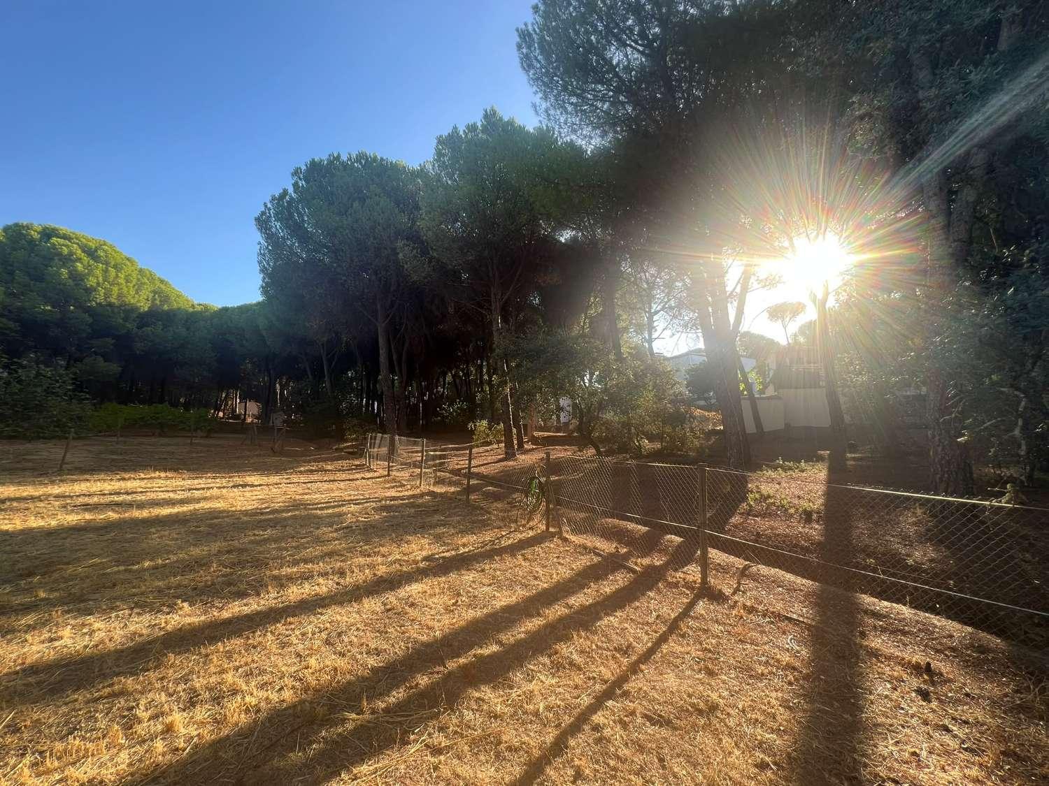 Finca en Venta en Andújar