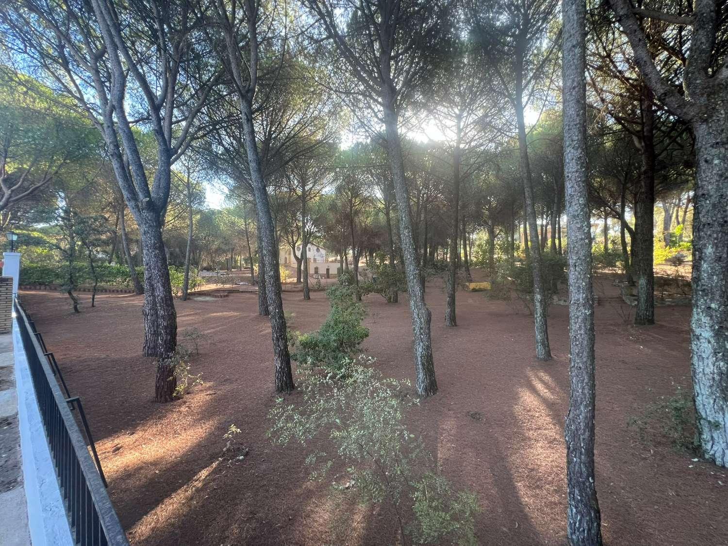 Finca en Venta en Andújar