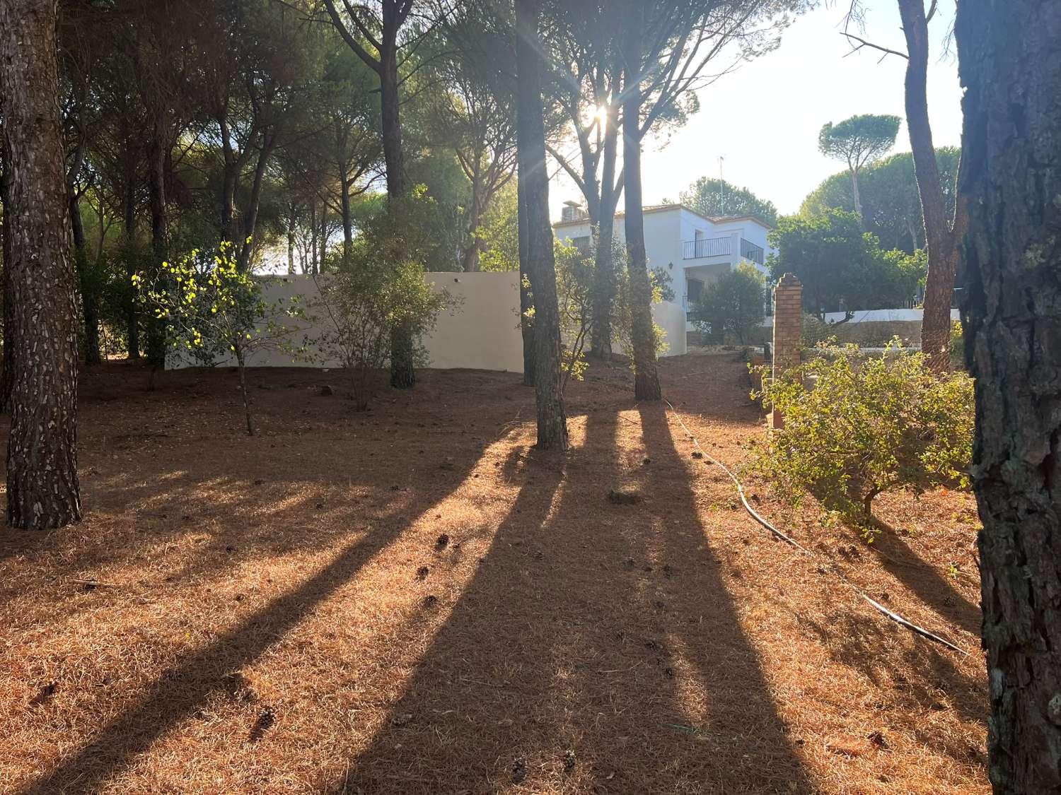 Finca en Venta en Andújar