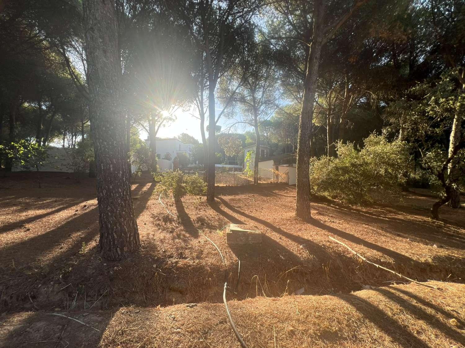 Finca en Venta en Andújar