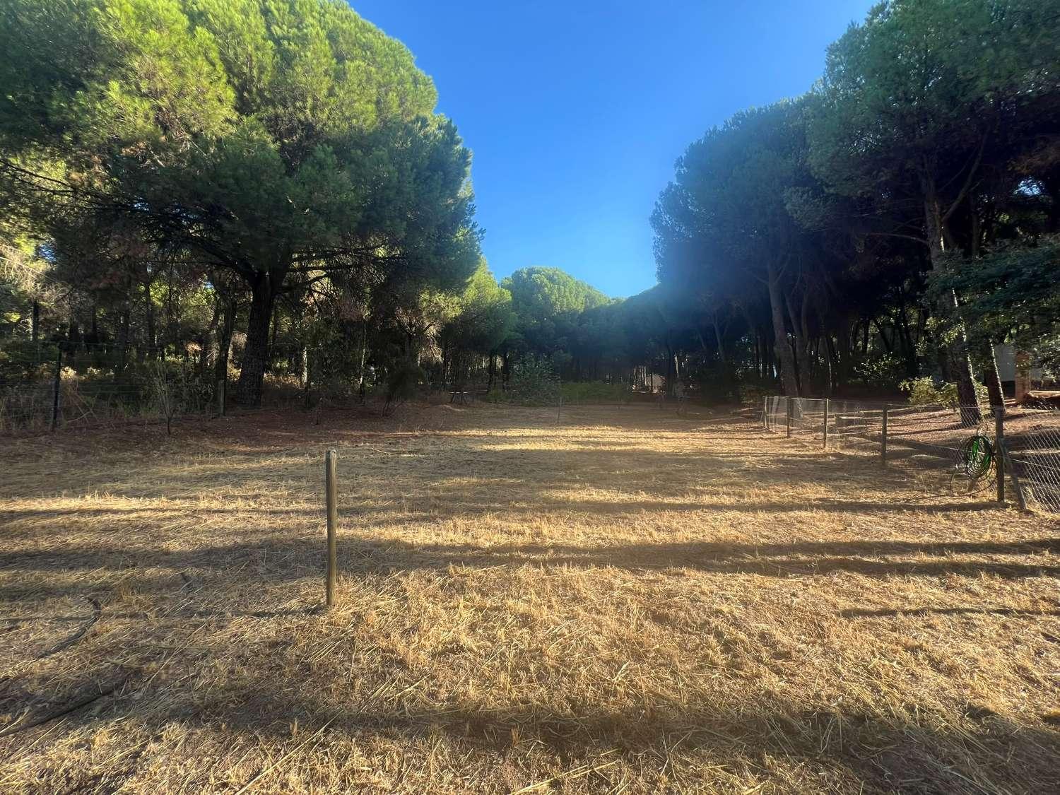 Finca en Venta en Andújar
