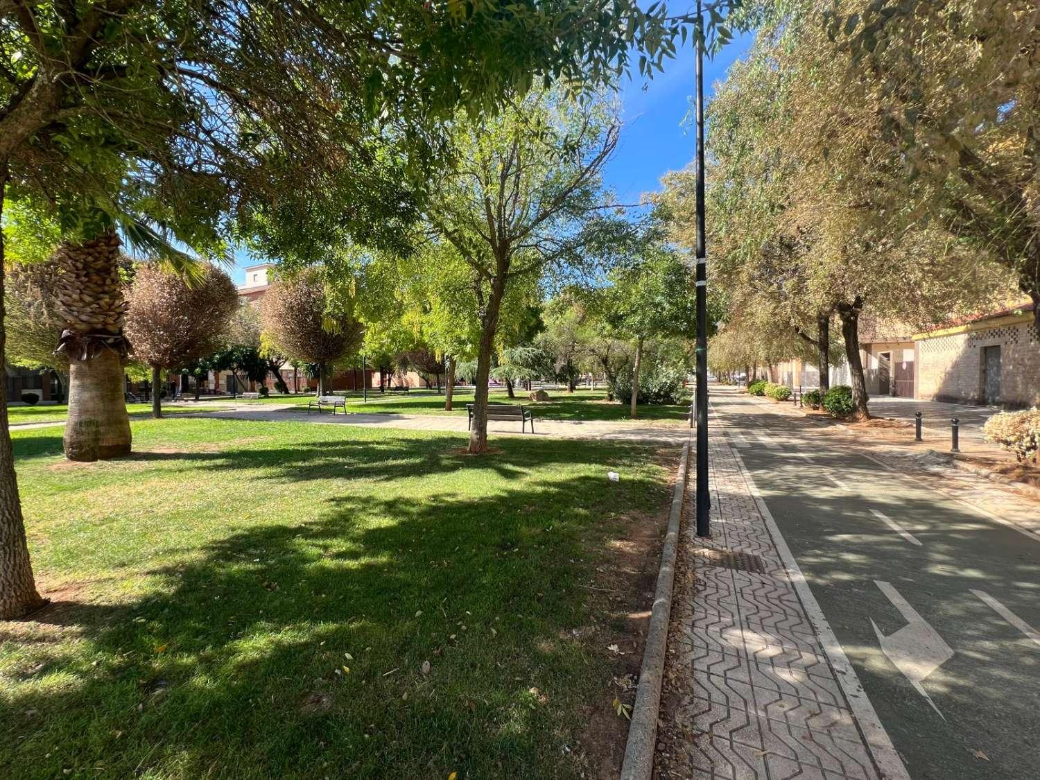 Piso en Venta en Andújar