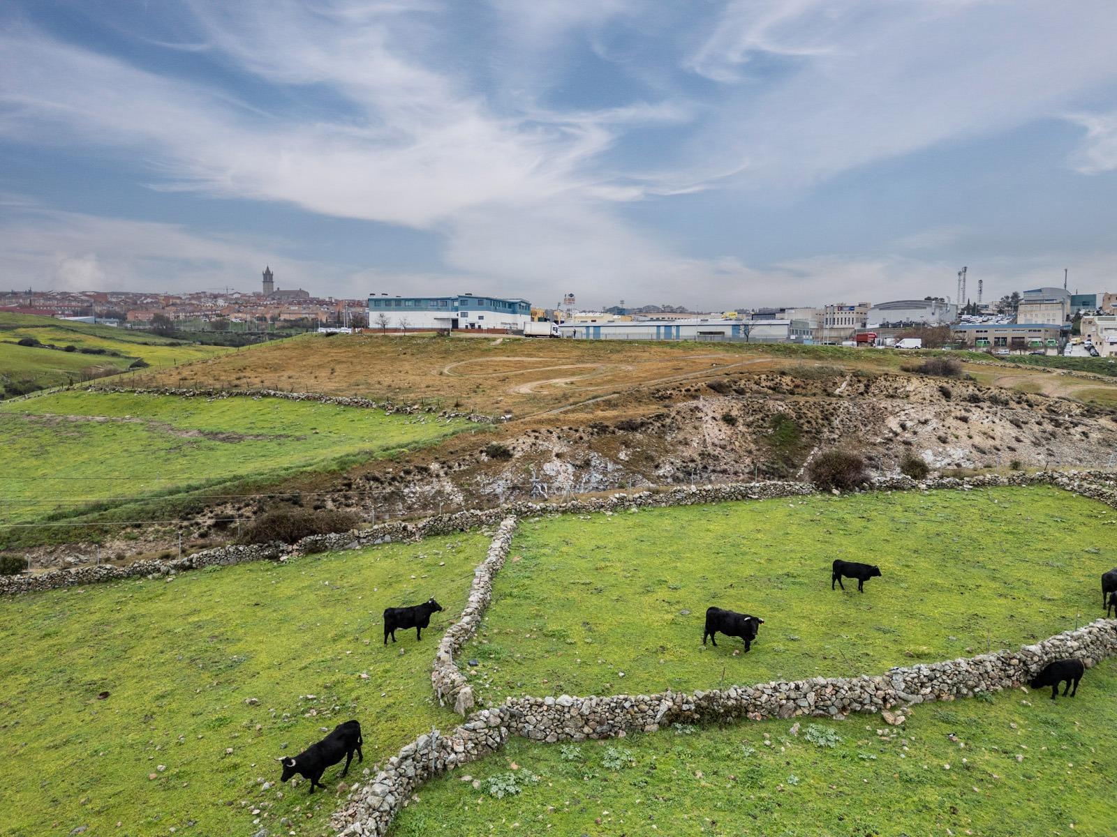 Industrial Unit for Sale in Colmenar Viejo