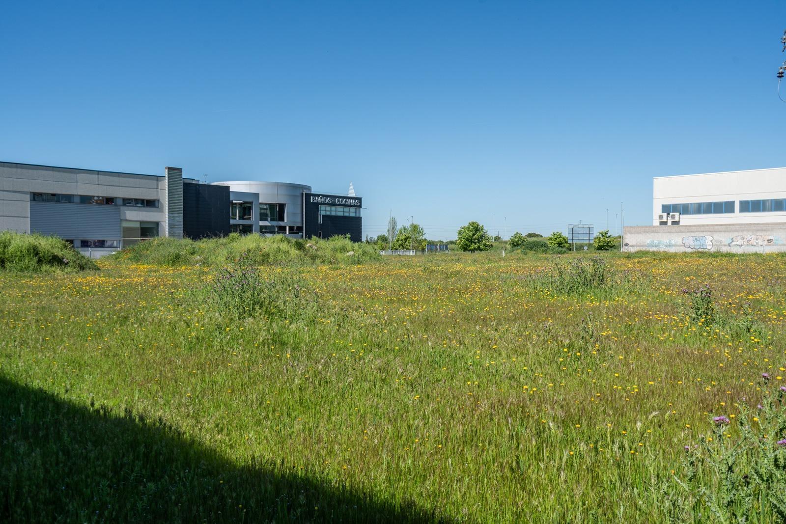 Plot for Sale in Parla