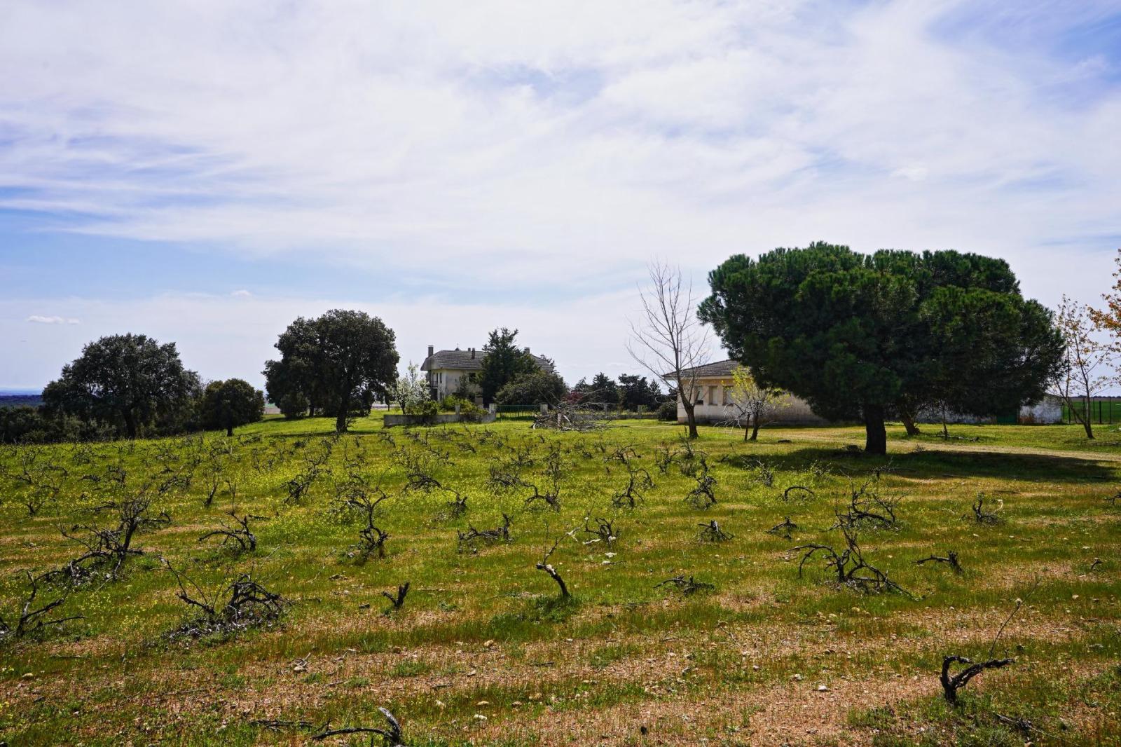 Chalet for Sale in Topas