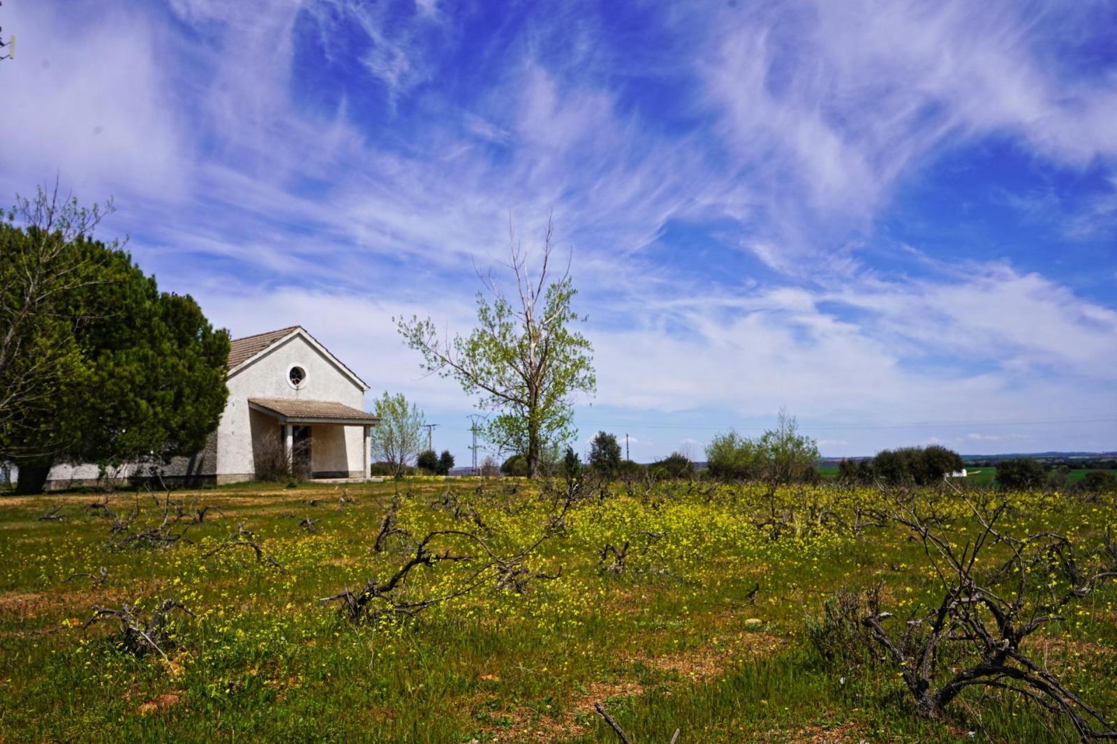 Chalet for Sale in Topas