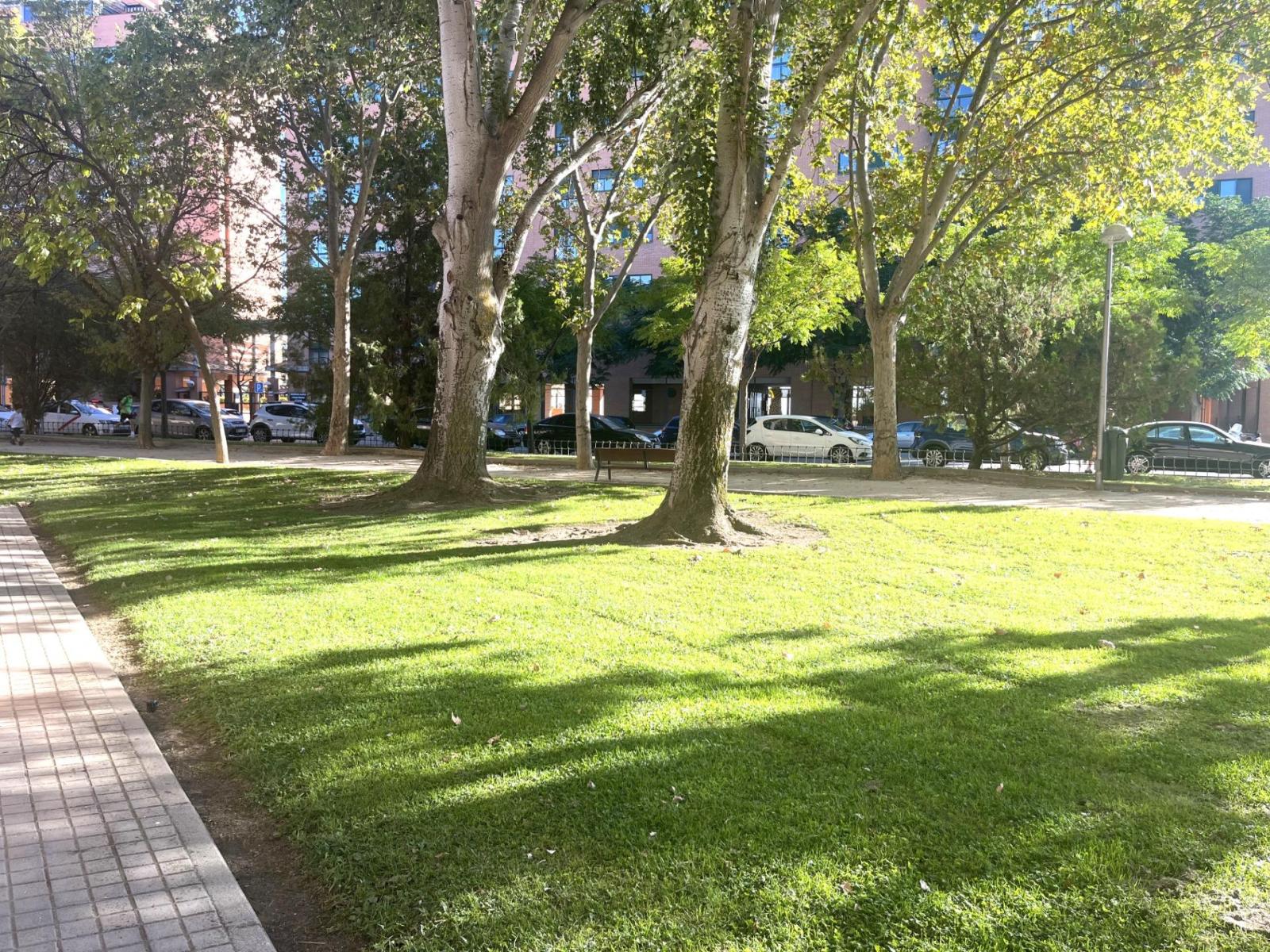 Studio for Sale in Madrid