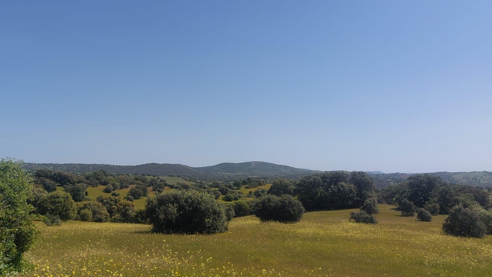 Plot for Sale in Aldeaquemada
