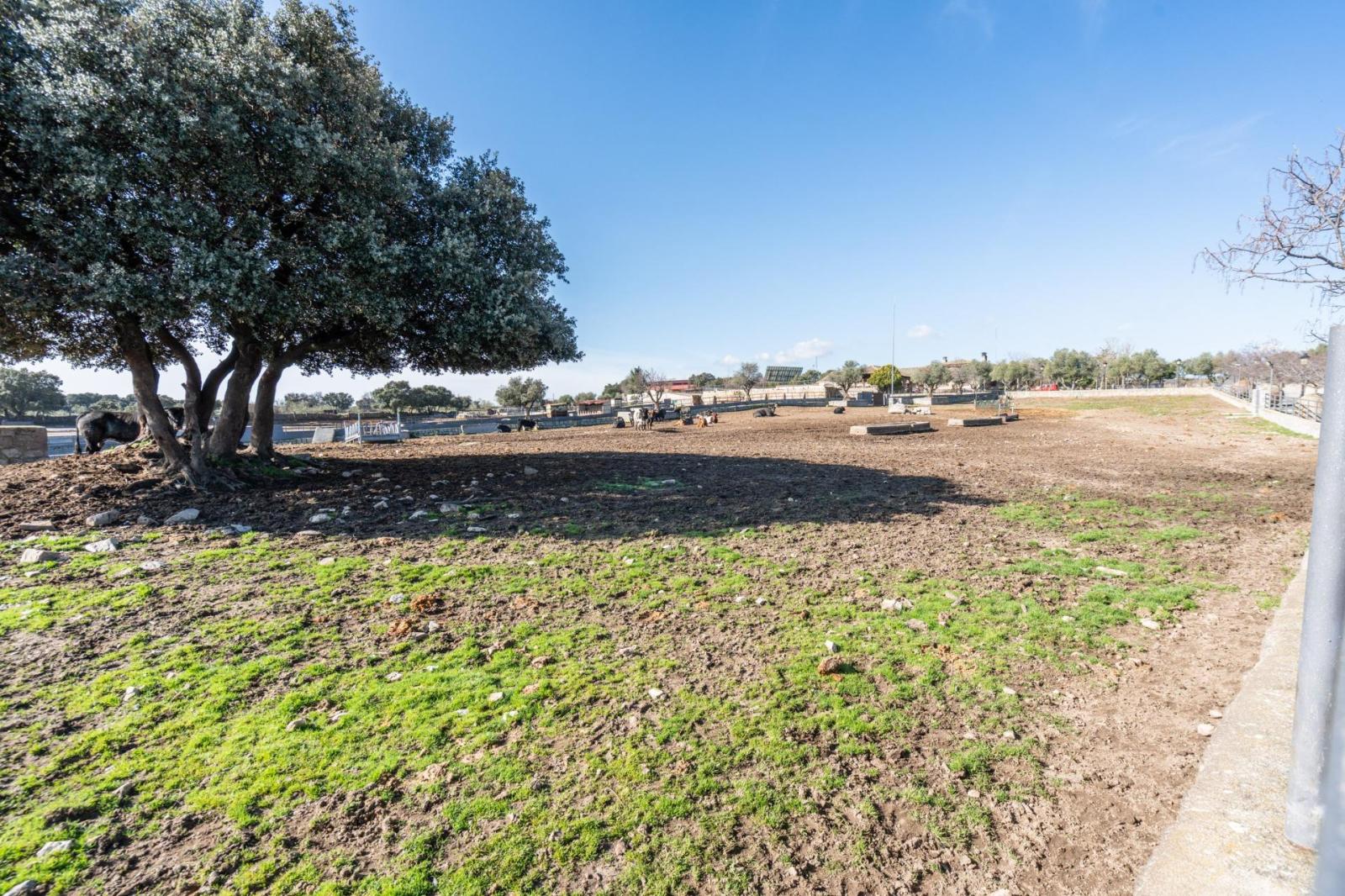 Plot for Sale in Robledo de Chavela