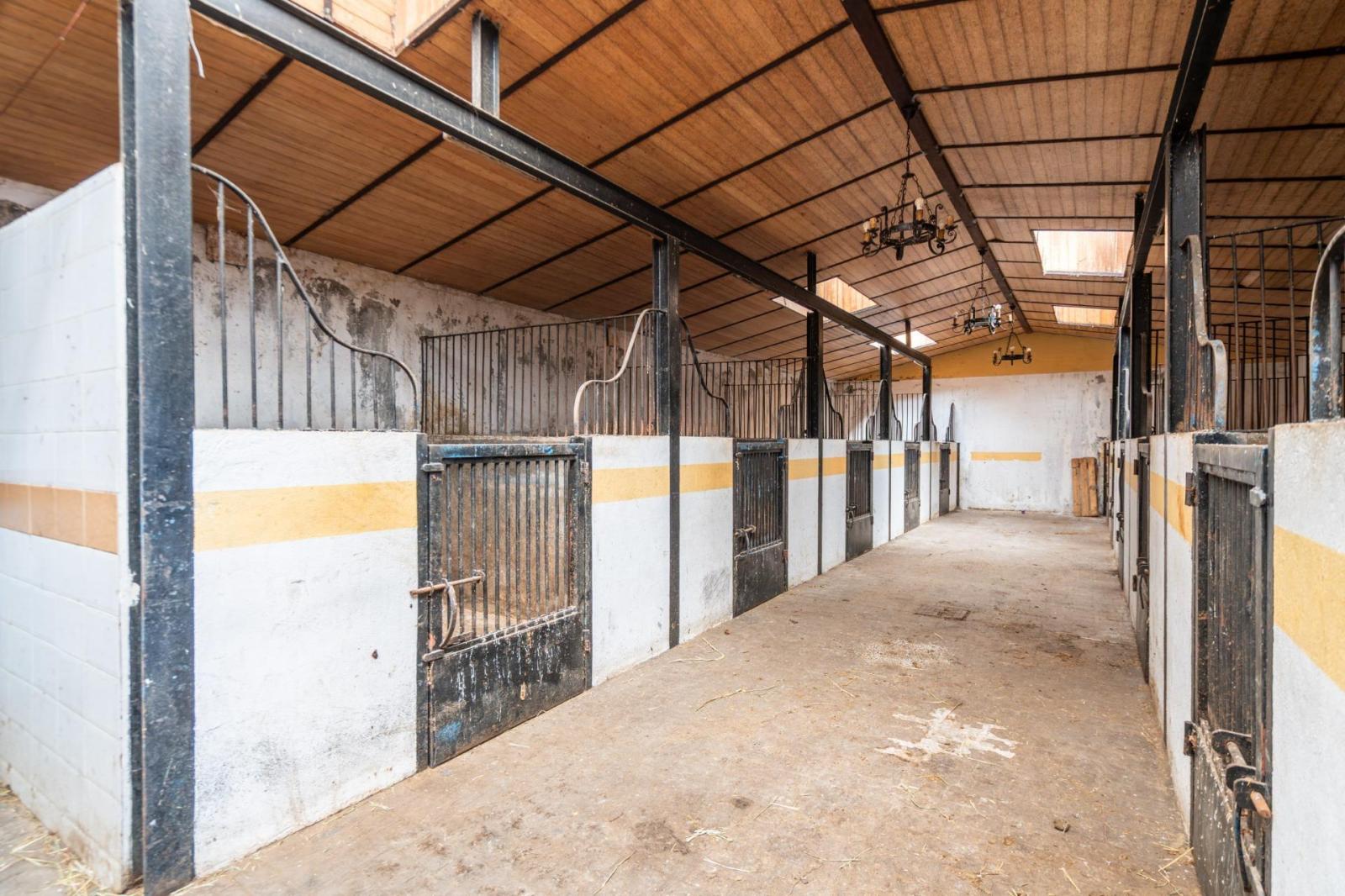Plot for Sale in Robledo de Chavela