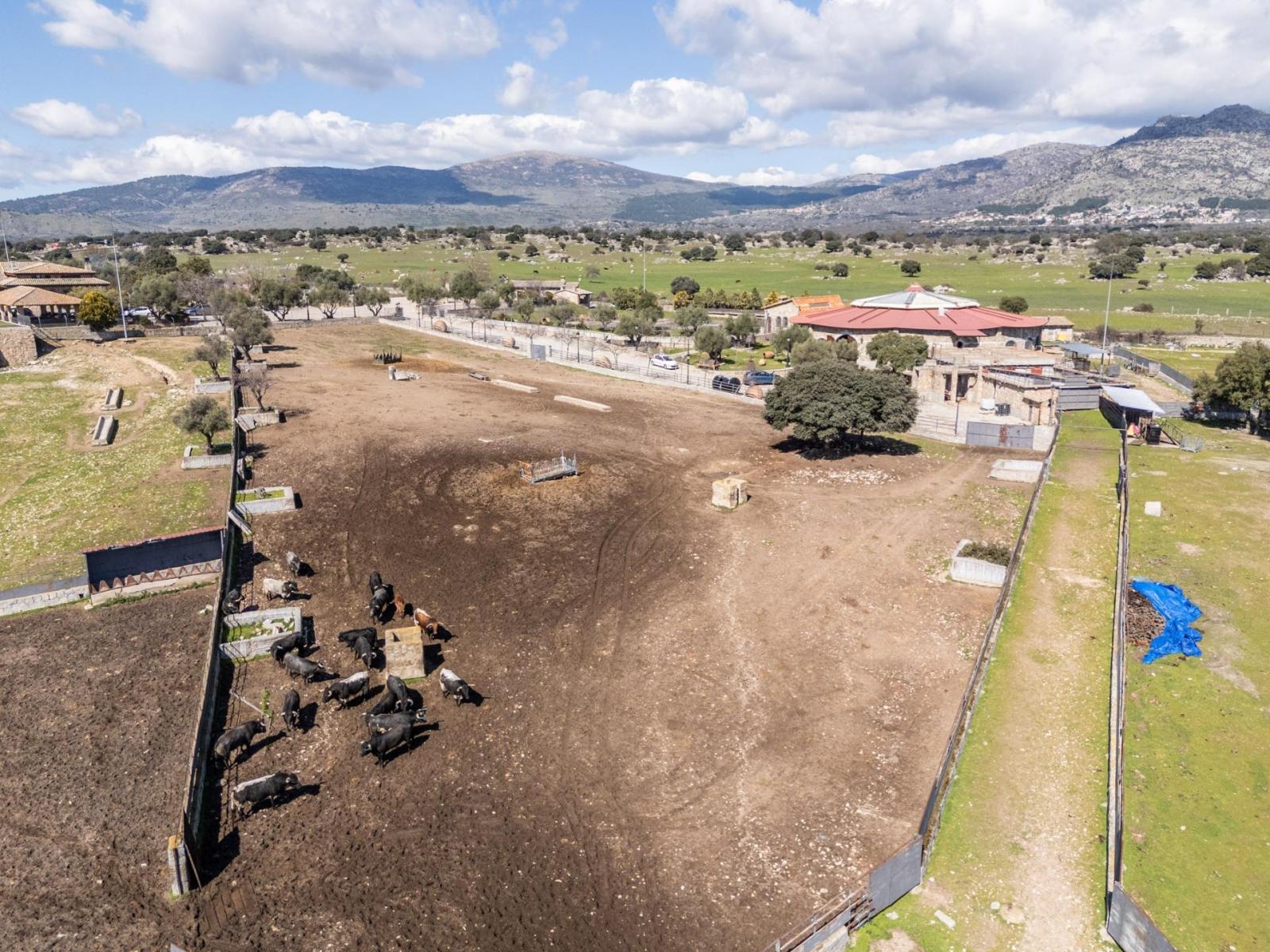 Plot for Sale in Robledo de Chavela