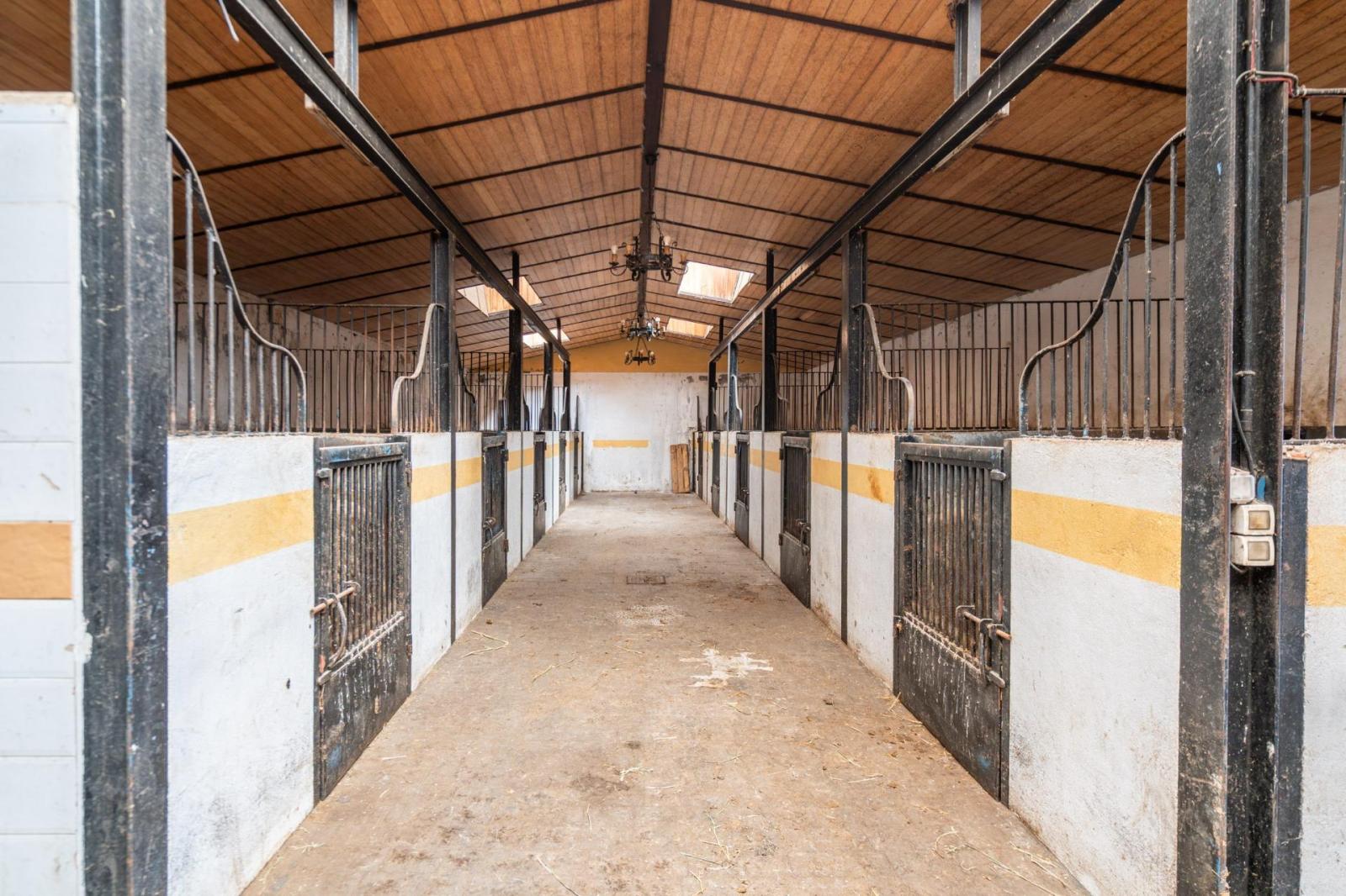 Plot for Sale in Robledo de Chavela
