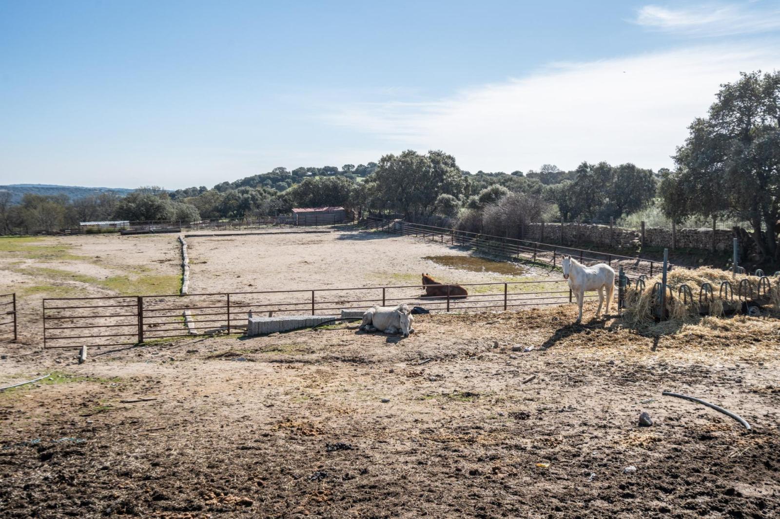 Plot for Sale in Robledo de Chavela