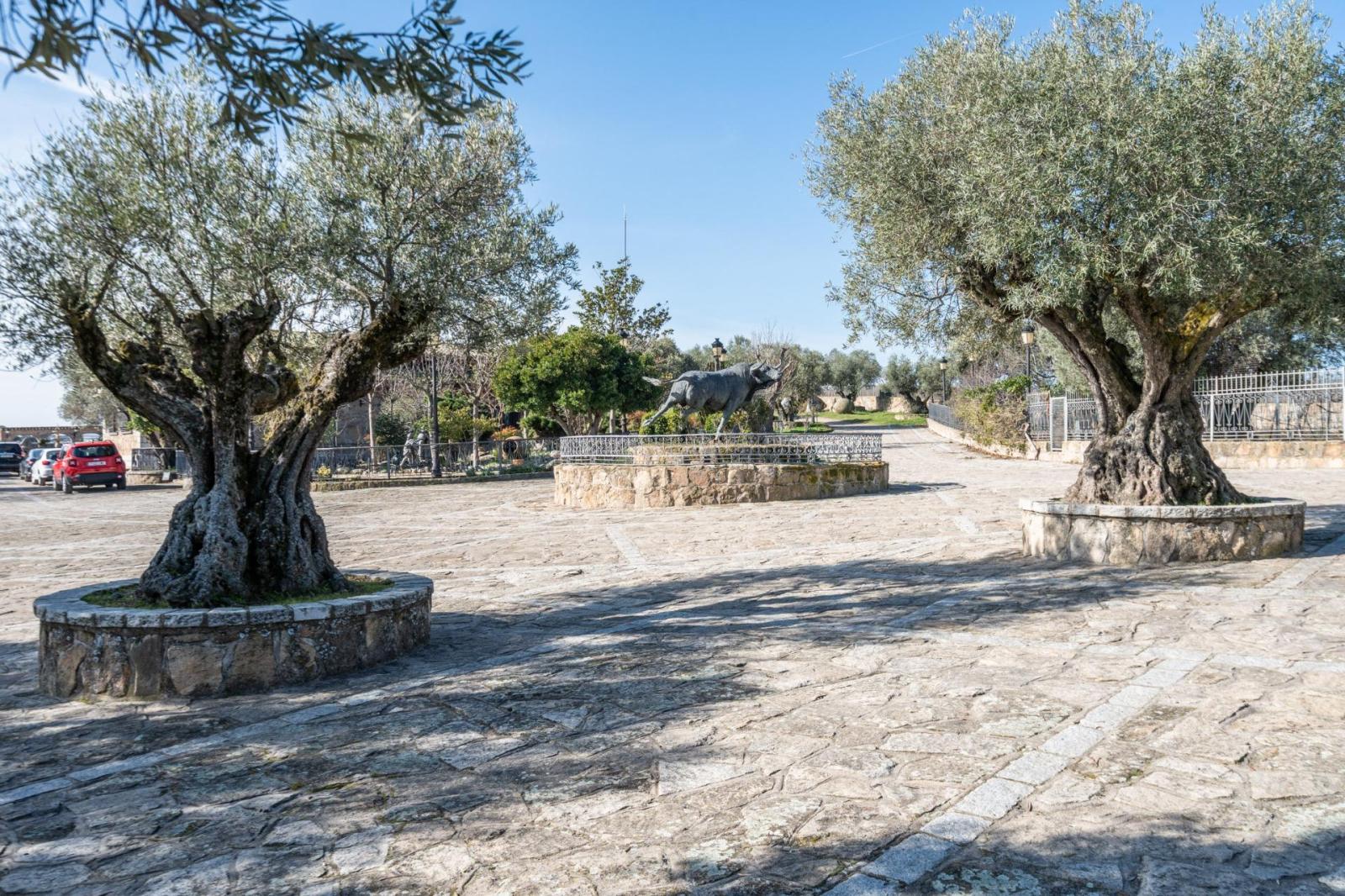 Plot for Sale in Robledo de Chavela