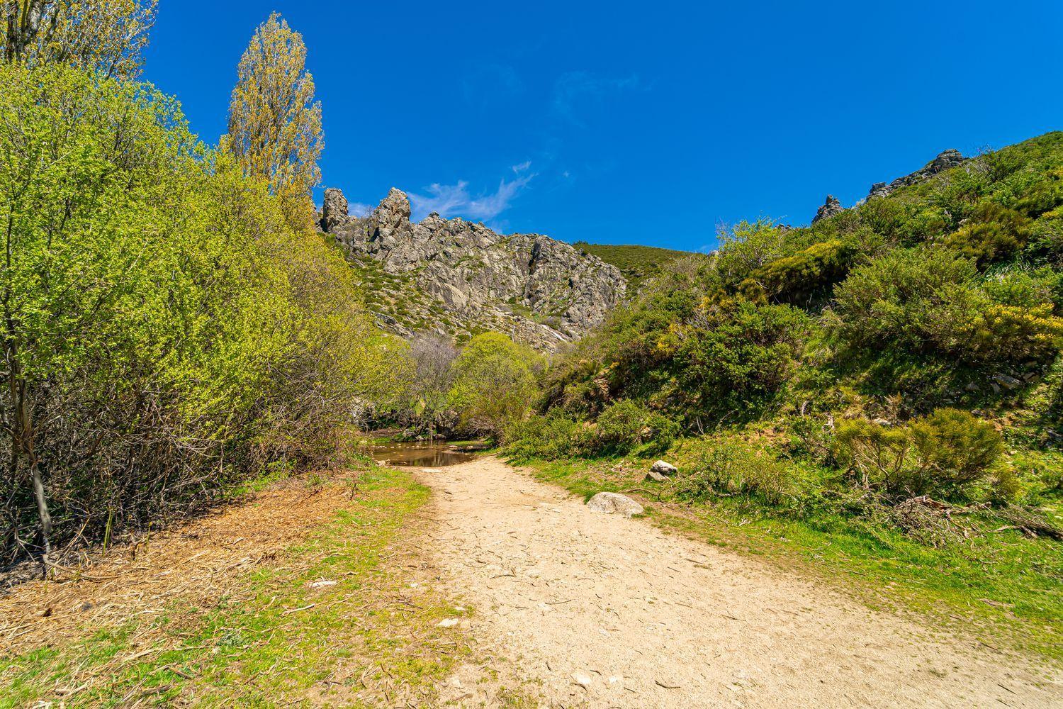 Chalet for Sale in Somosierra
