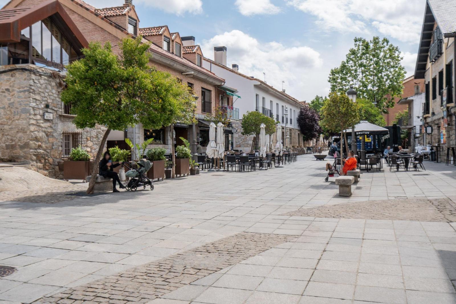 Premise for Sale in Torrelodones