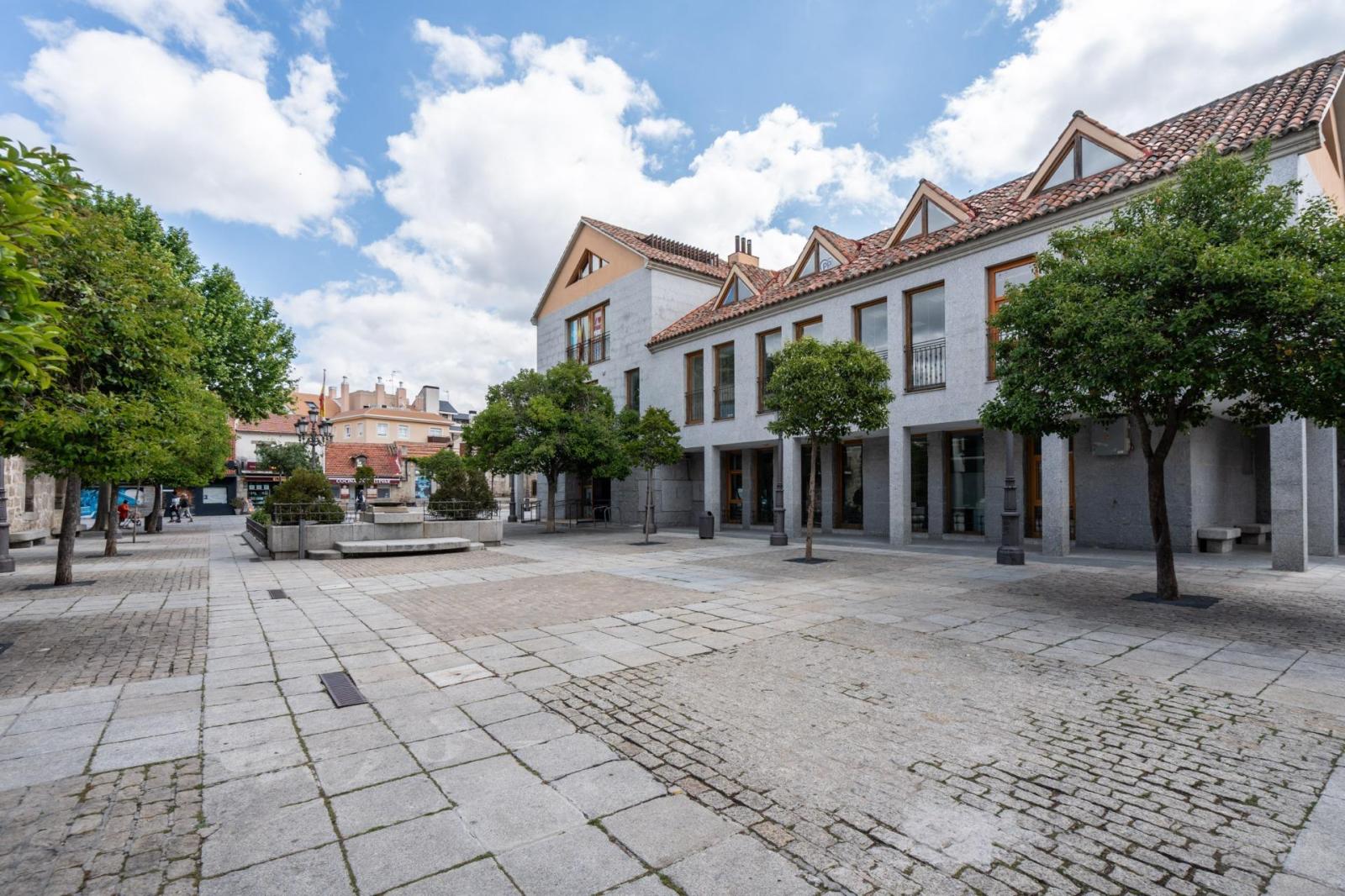 Premise for Sale in Torrelodones
