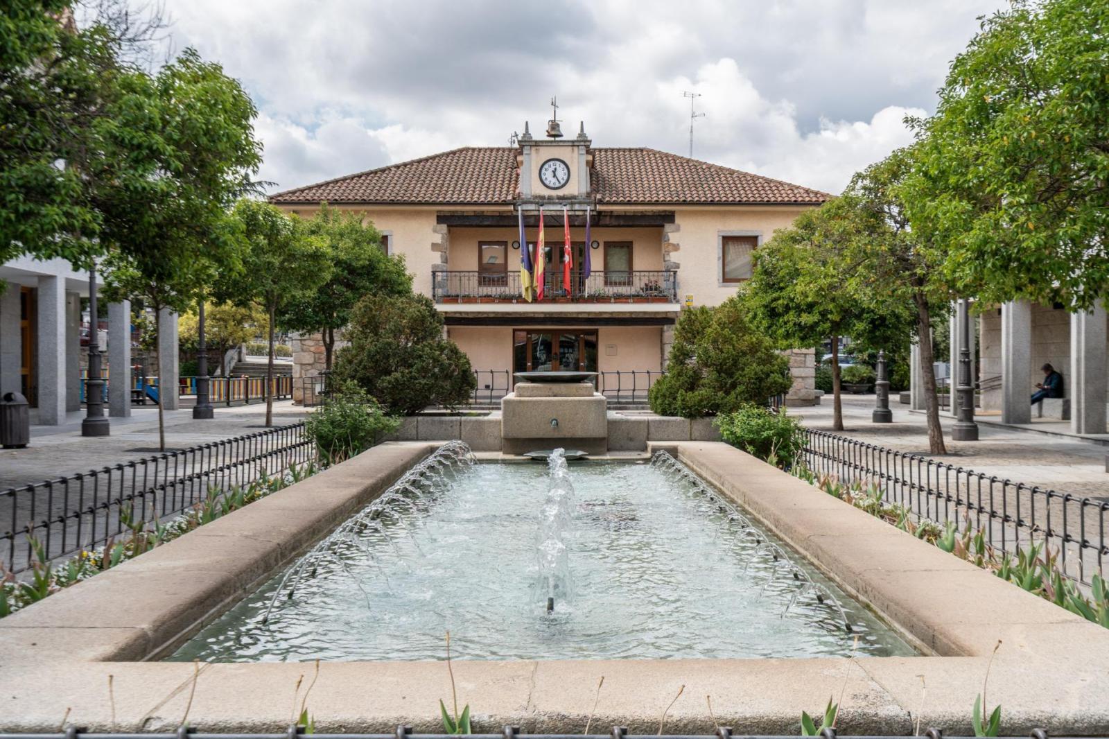 Premise for Sale in Torrelodones