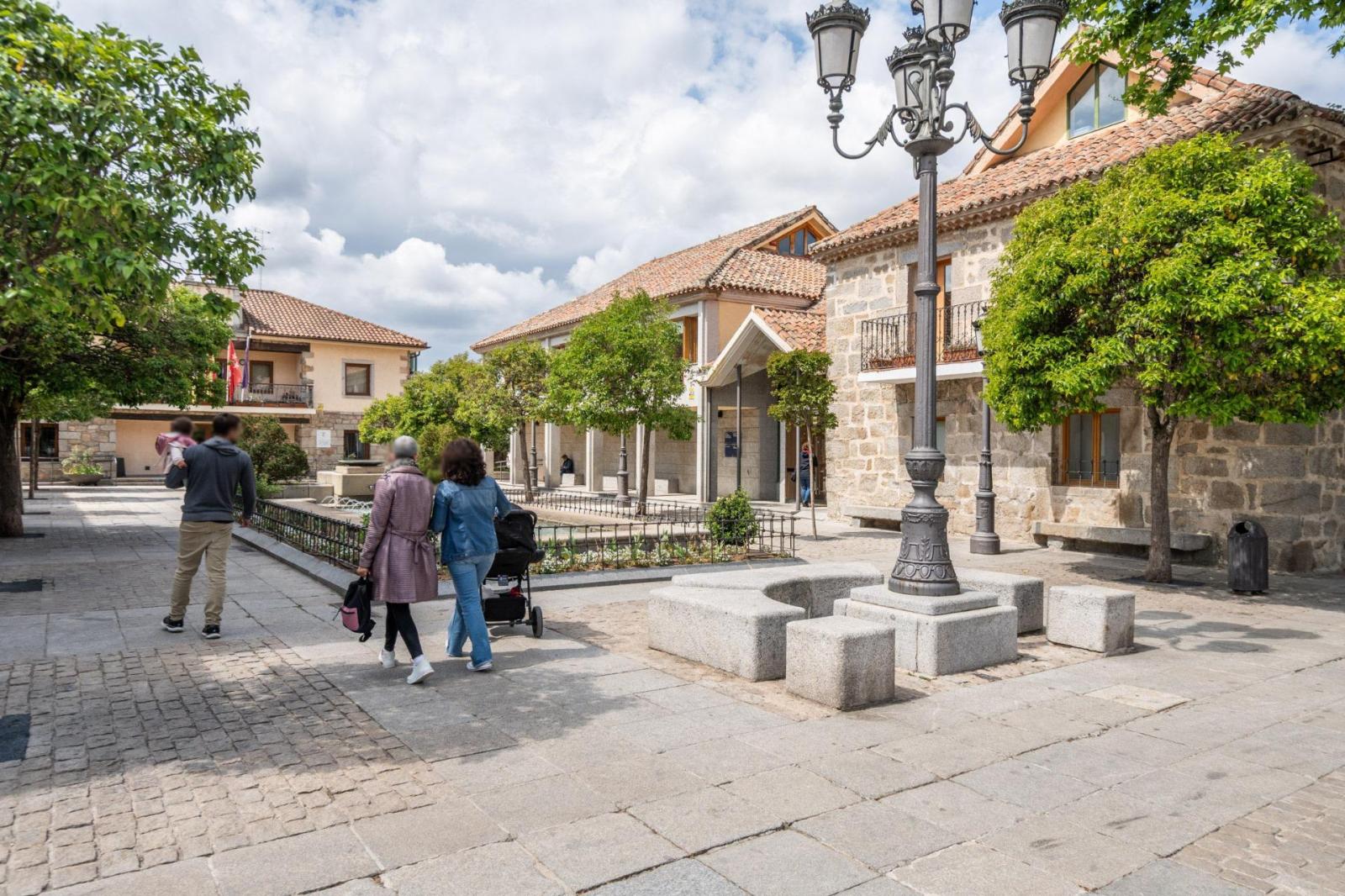 Premise for Rent in Torrelodones