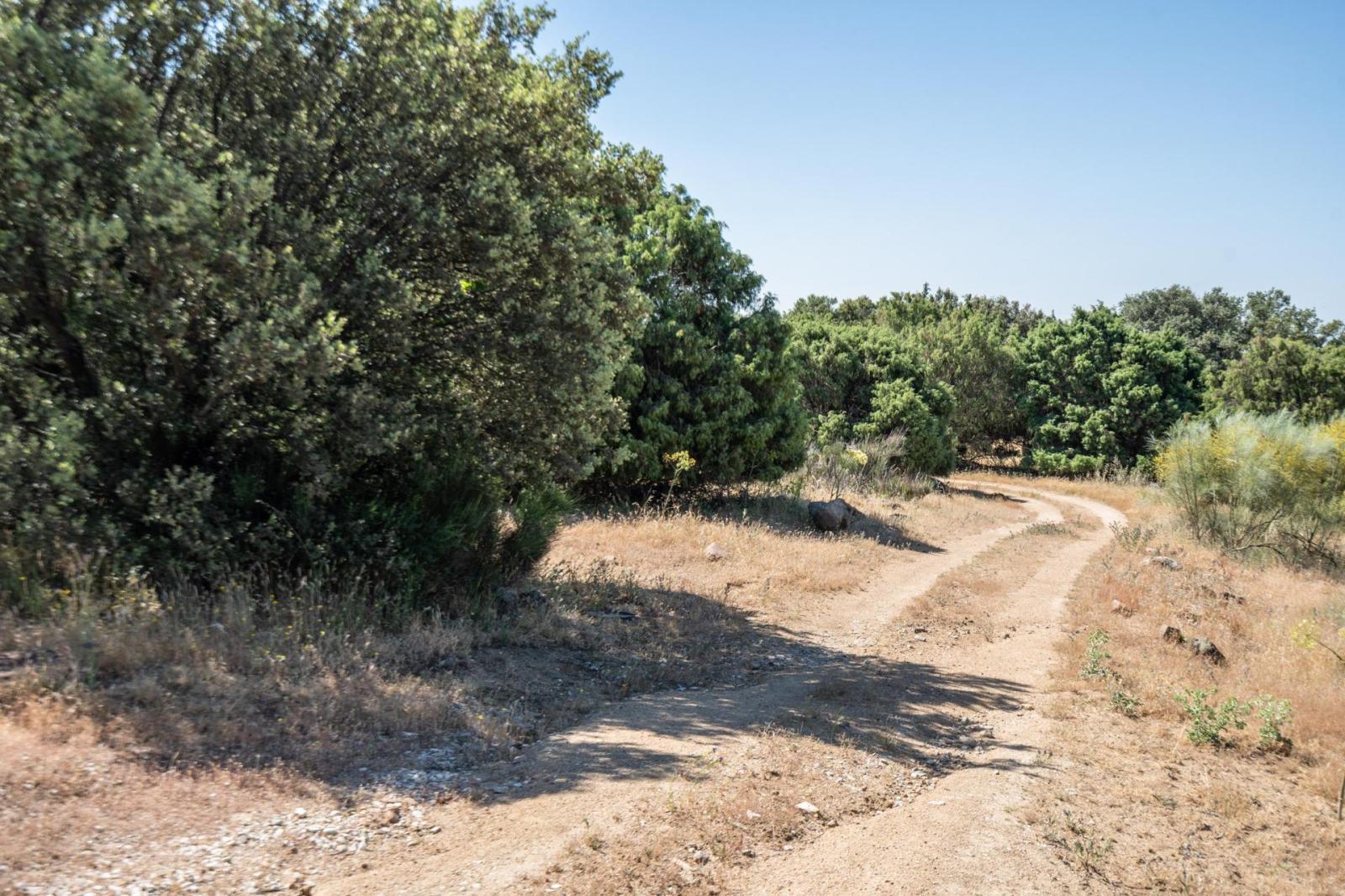 Country Property for Sale in Cenicientos