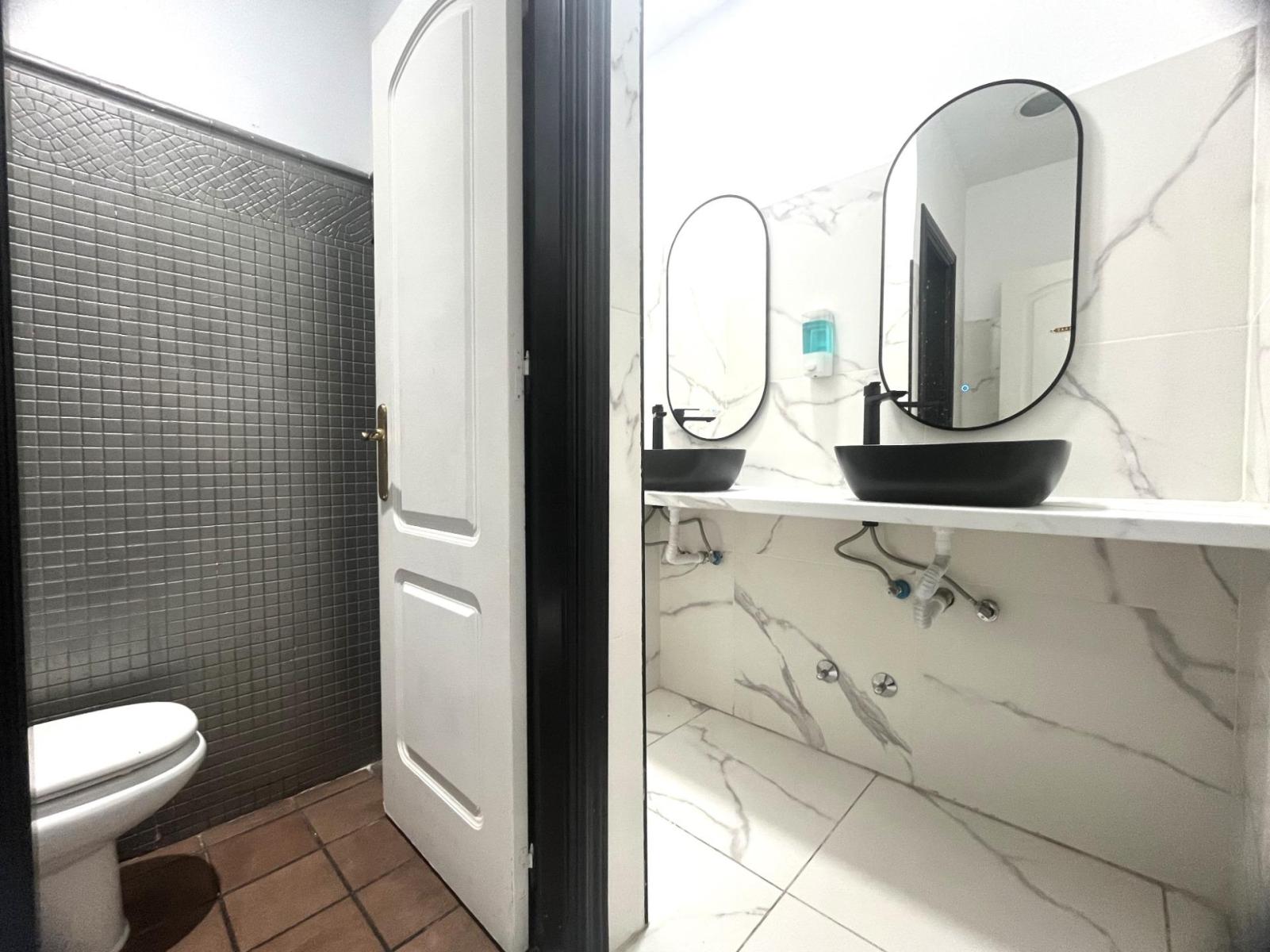 Premise for Rent in Madrid