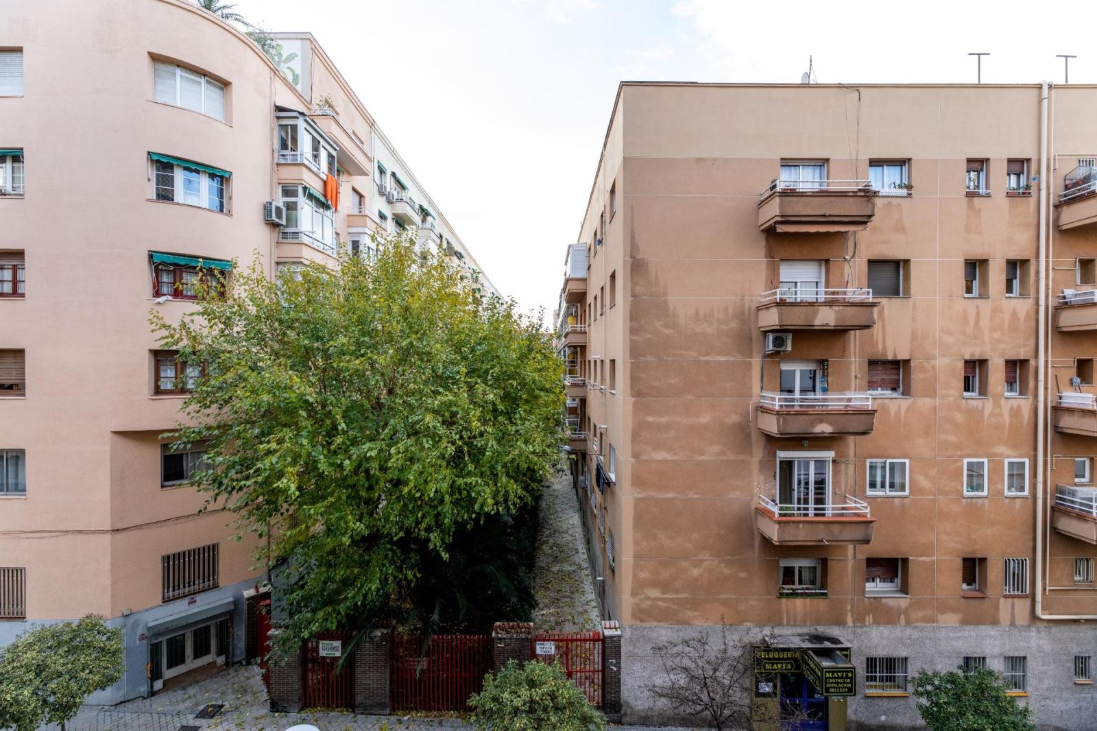 Apartment for Rent in Madrid