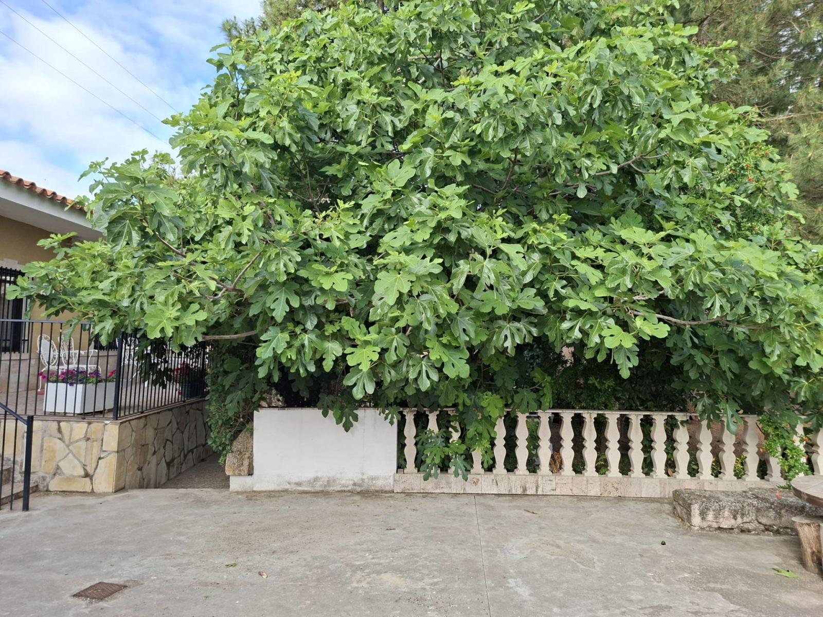 Casa Rural en Venta en La Almarcha
