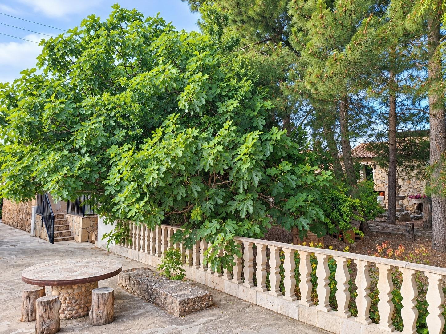 Casa Rural en Venta en La Almarcha