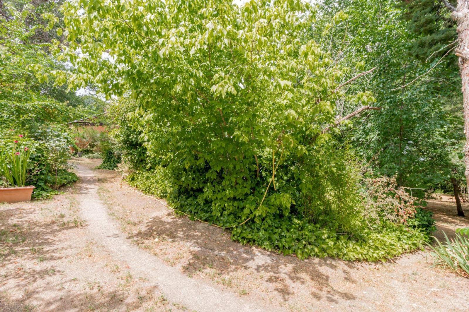 Chalet for Sale in Boadilla del Monte