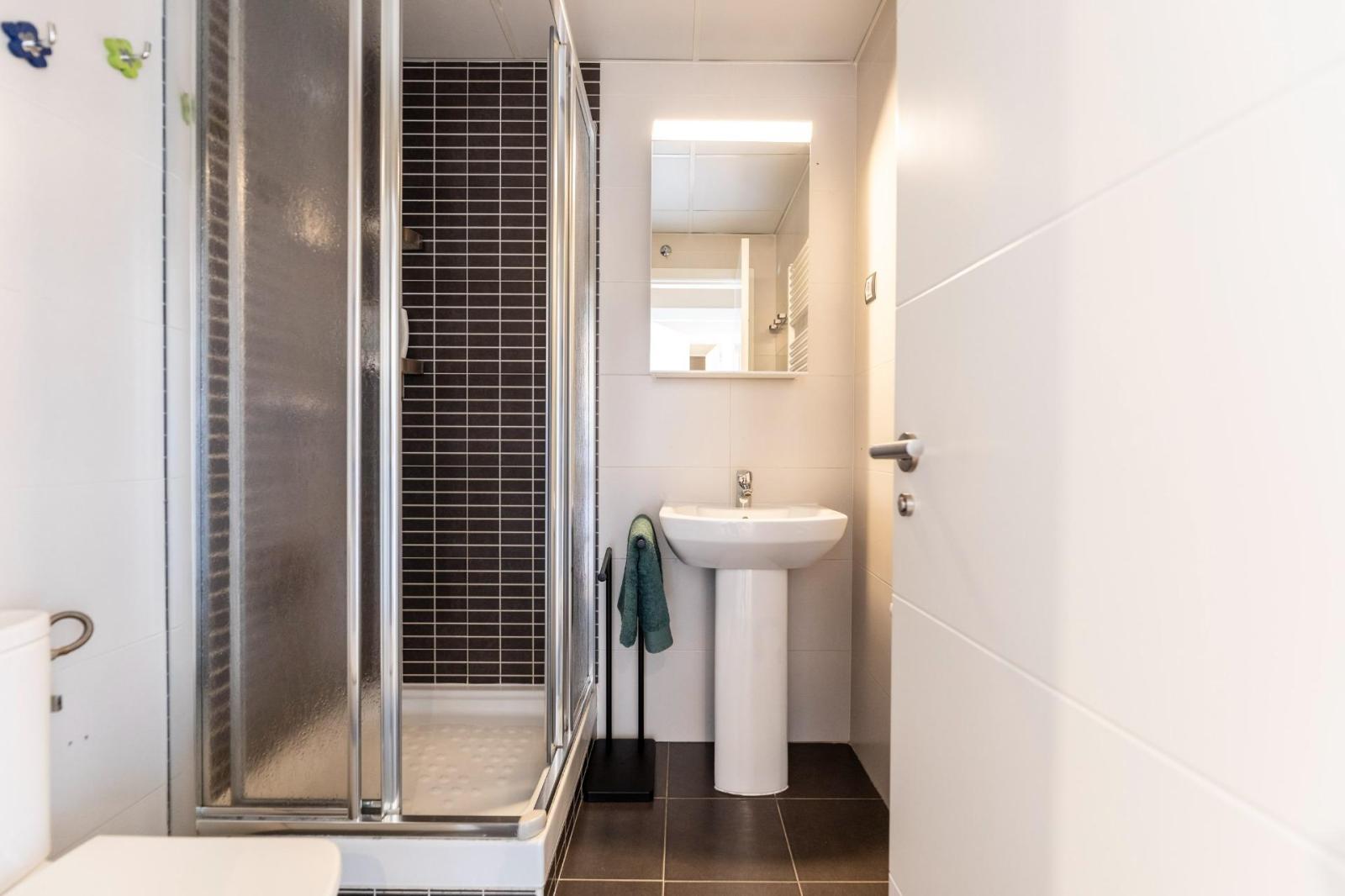 Penthouse for Rent in Madrid