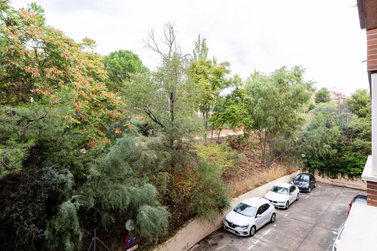 Flat for Sale in Toledo