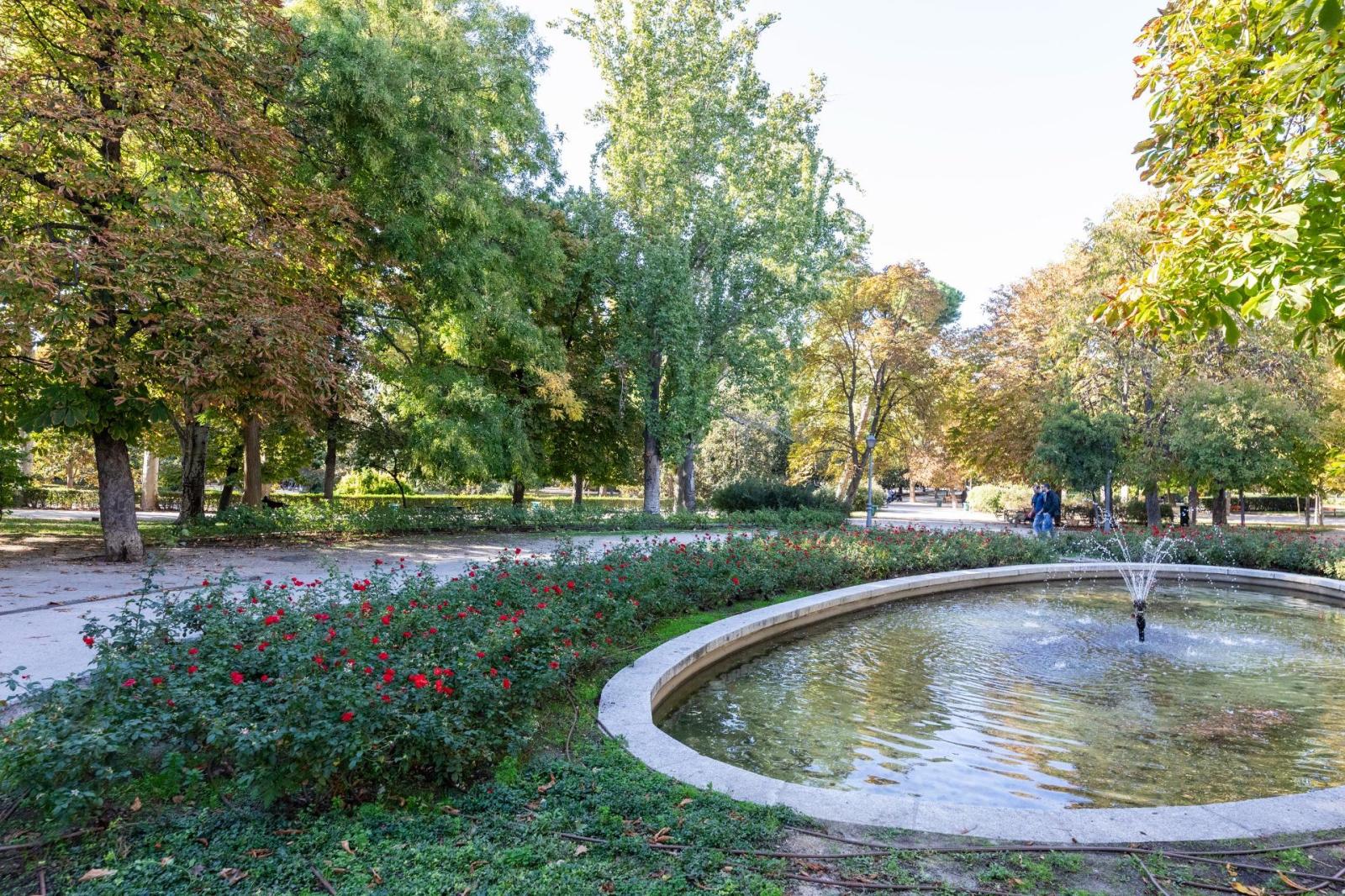 Premise for Sale in Madrid