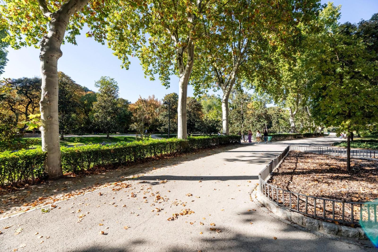 Premise for Sale in Madrid