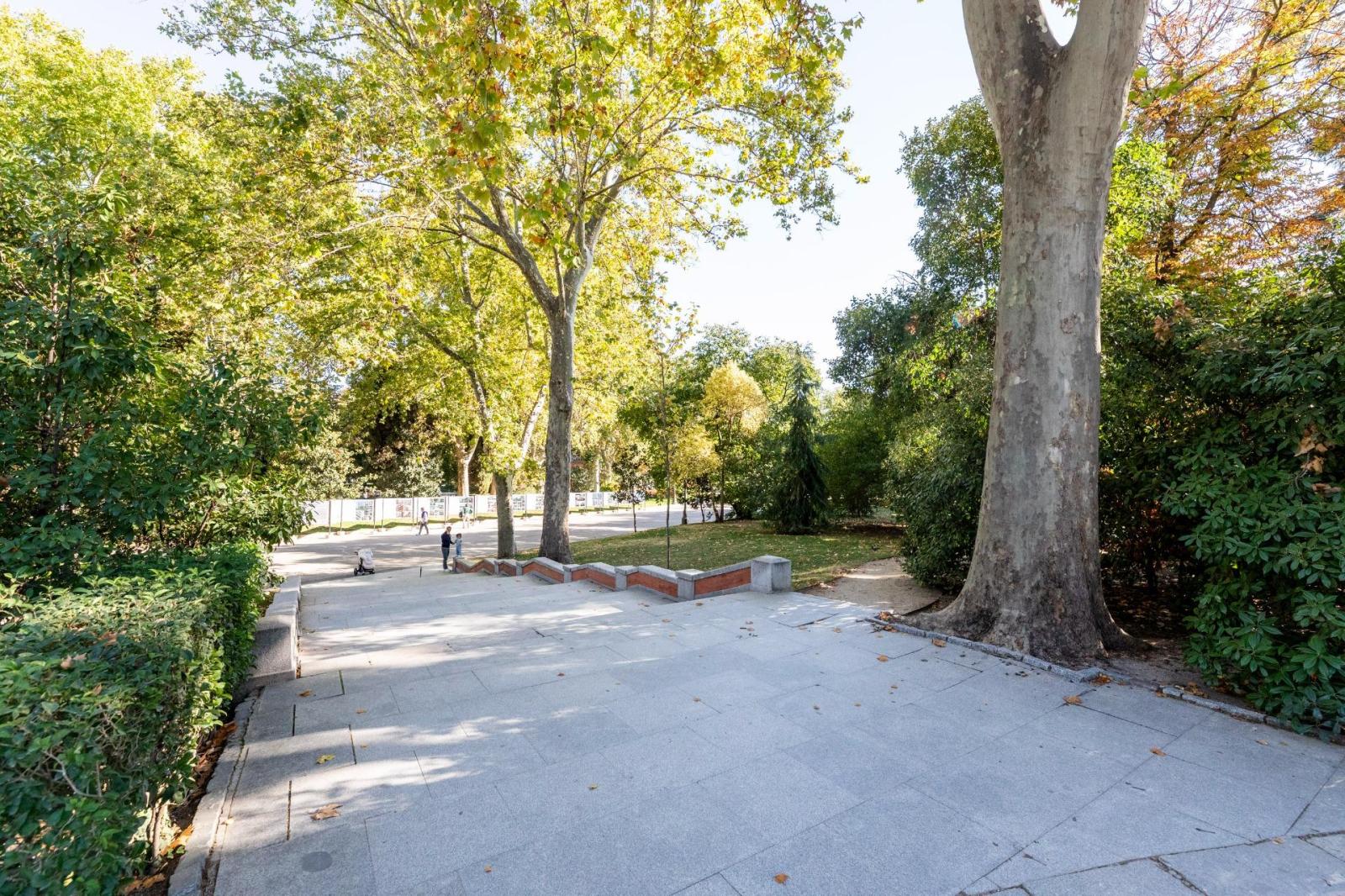 Premise for Sale in Madrid
