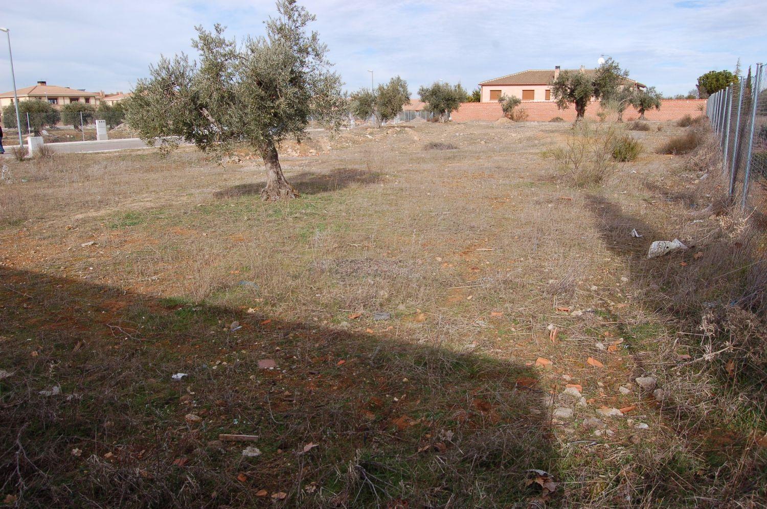 Parcela en Venta en Nambroca